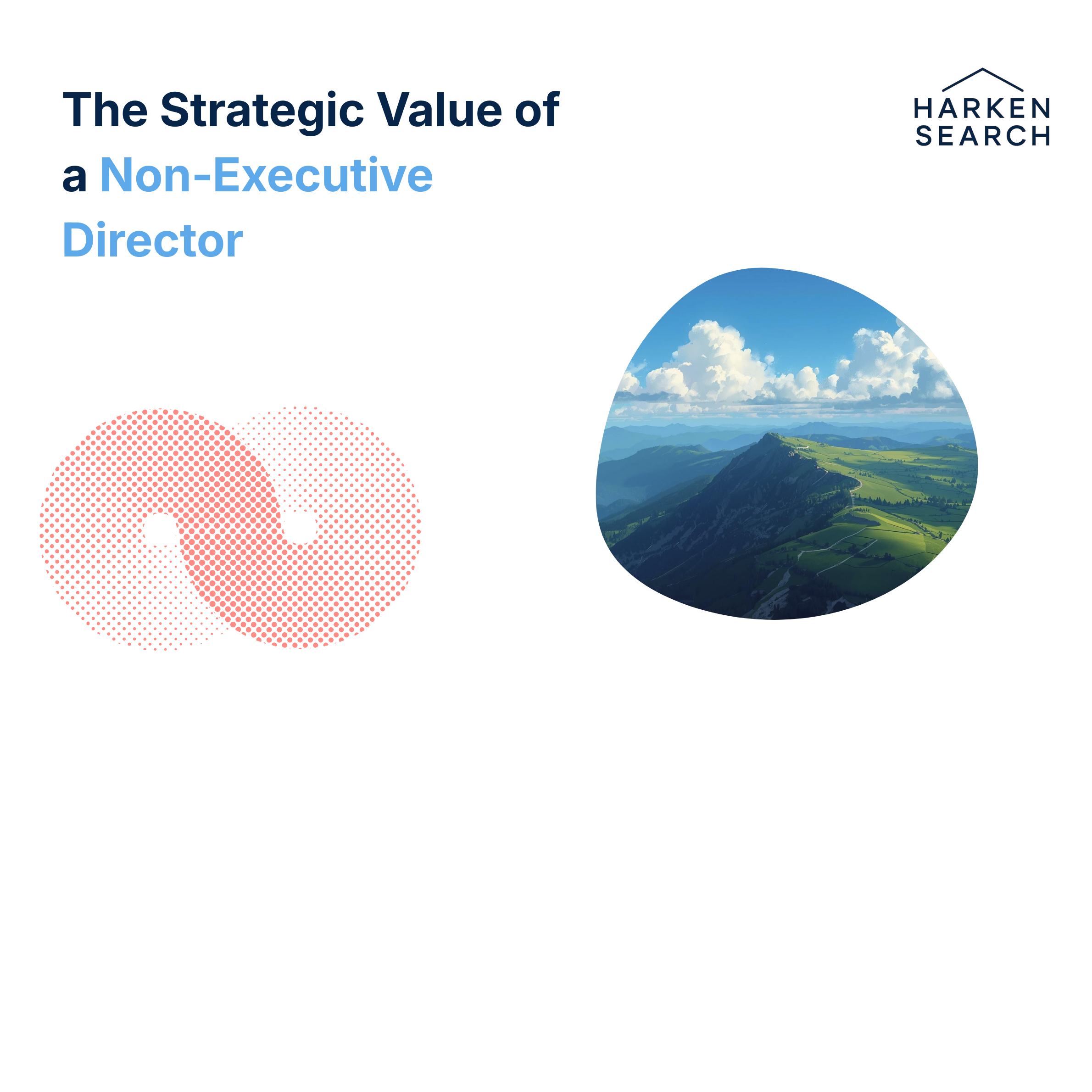 The Strategic Value of a Non‑Executive Director