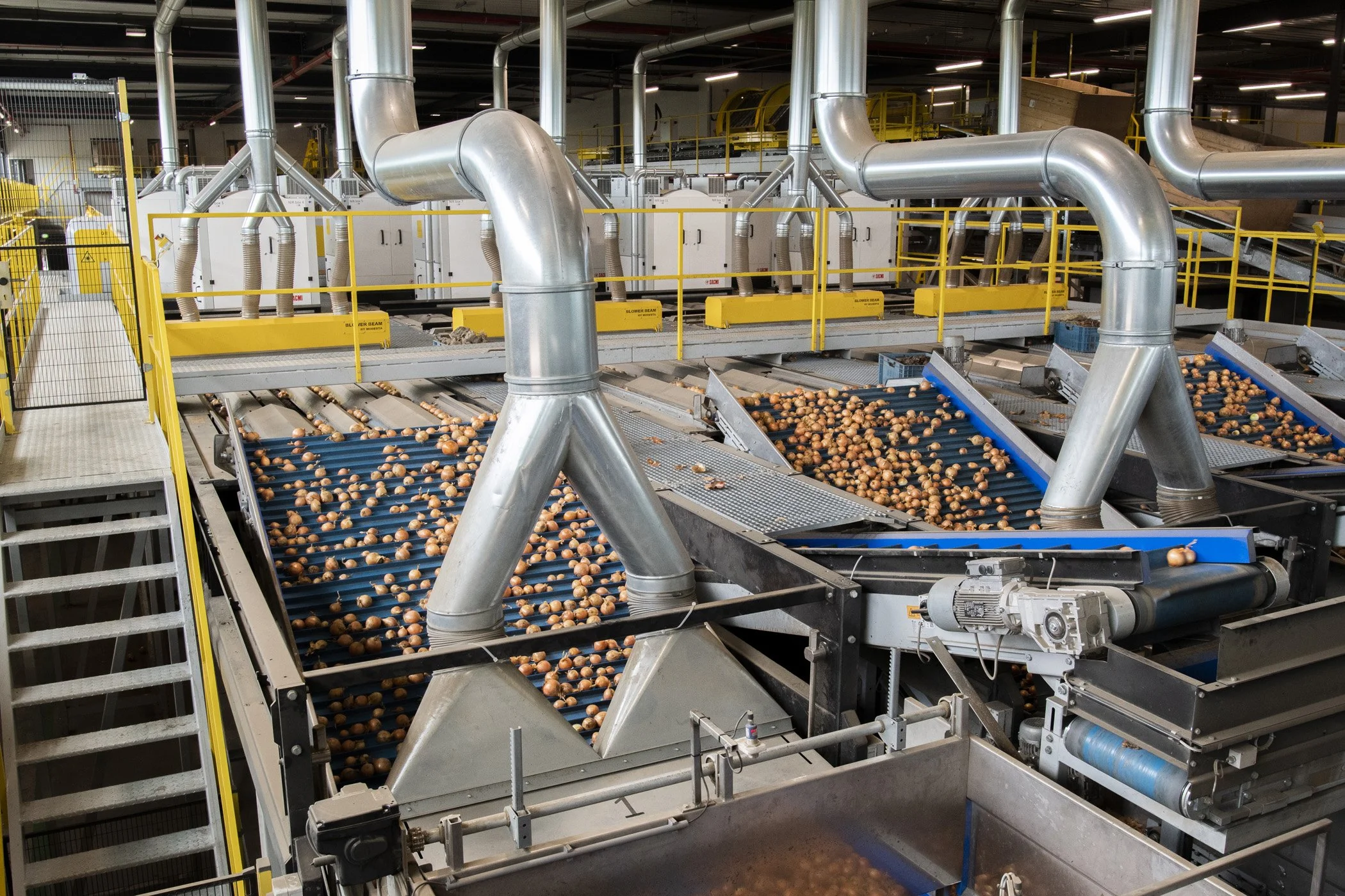 12_Modesta_Filters_Dust_Extraction_MSP_Onions_2022_LR_NC2_5256.jpg