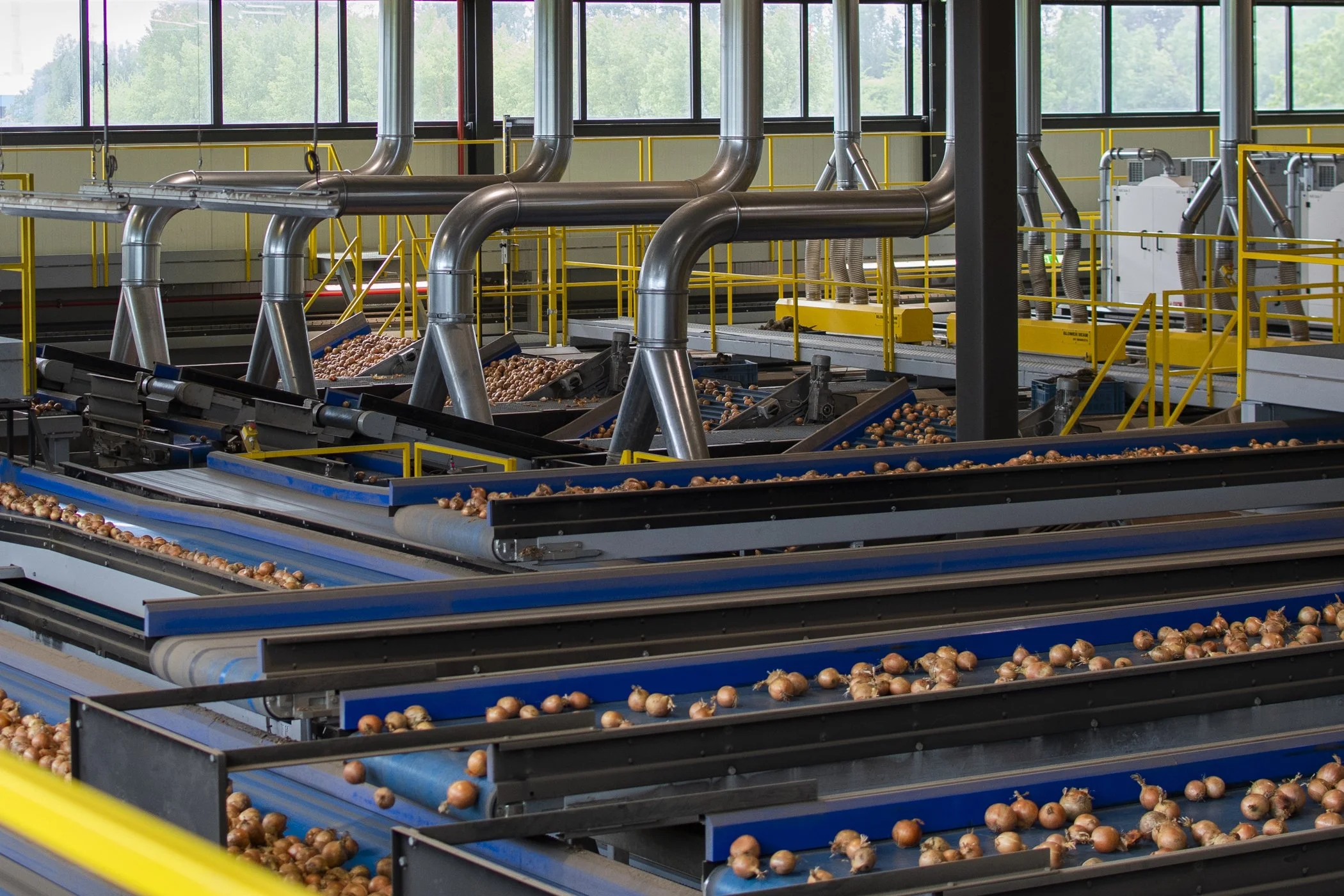 11_Modesta_Filters_Dust_Extraction_MSP_Onions_2022_LR_NC1_2598.jpg