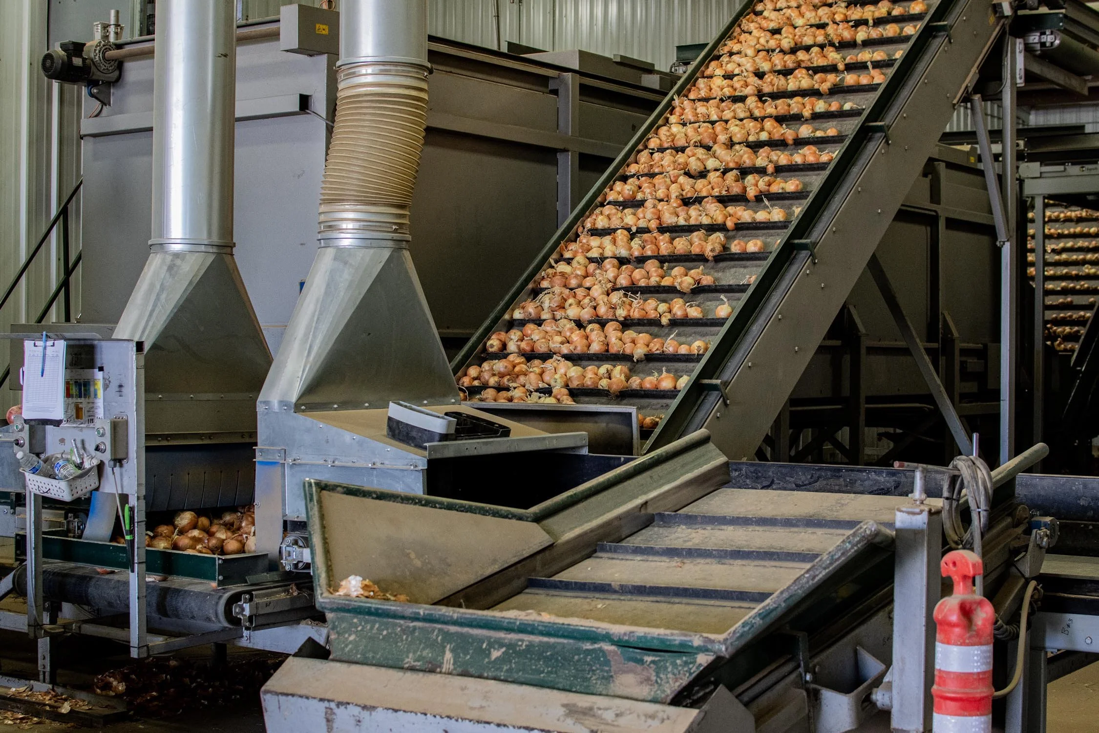 Eqraft_Modesta_Symach_Biometic_Eqrader_Optical_Onion_Potato_Grader_Binhandling_Combination_Scale_Weigher_Baxmatic_Autobagger_Cratefiller_Consumer_Packs_Baling_Line_01_Blue_Sky_Onions_NC1A_9163.jpg
