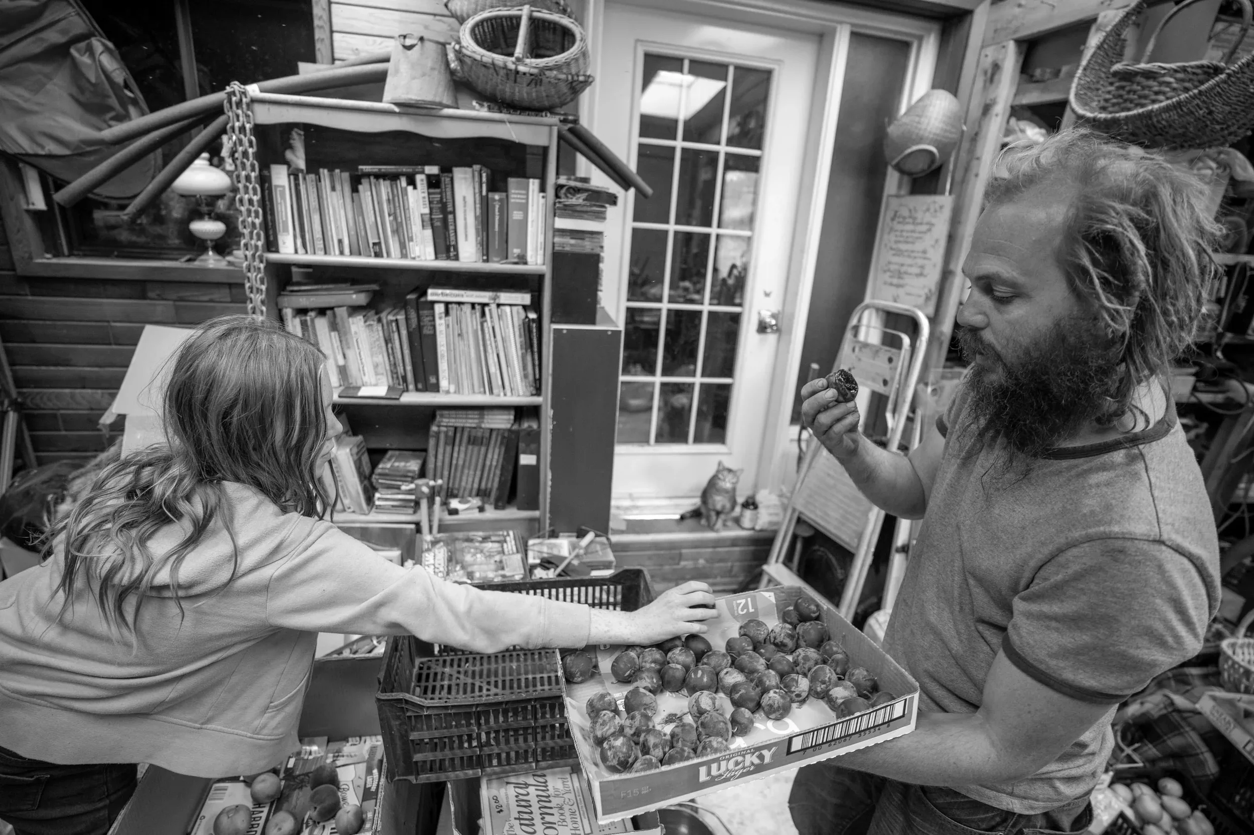 A young girl reaching for a box of peaches on a shelf while an adult man, holding a box of peaches, looks at her in a cluttered indoor space with books and household items.