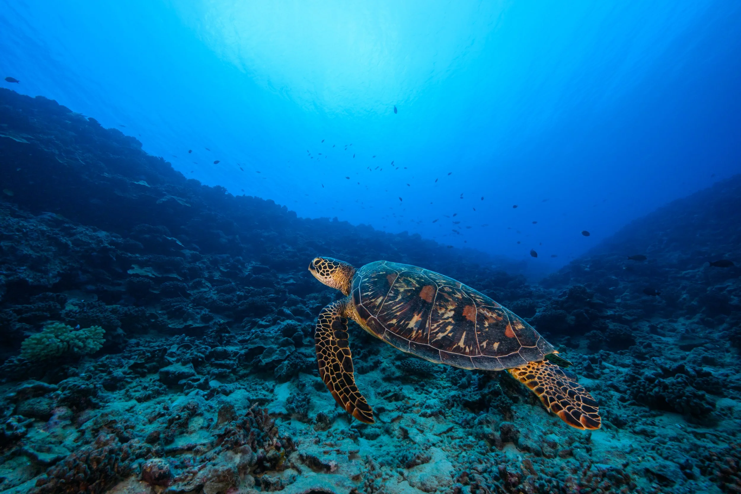 Northern Lights-7113.jpg