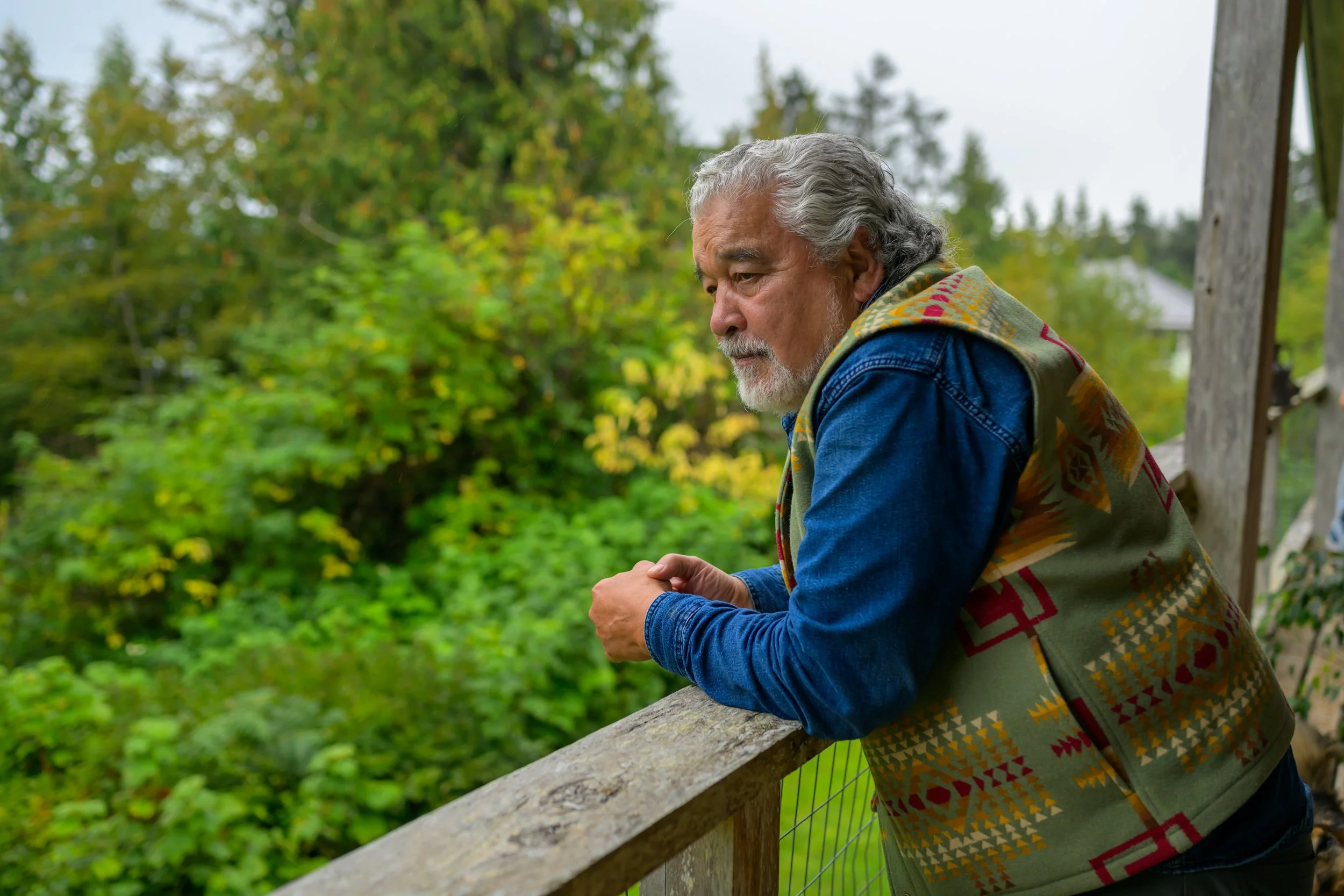 An elderly man with gray hair and beard leaning on a wooden railing, looking pensively at a lush green landscape outside.