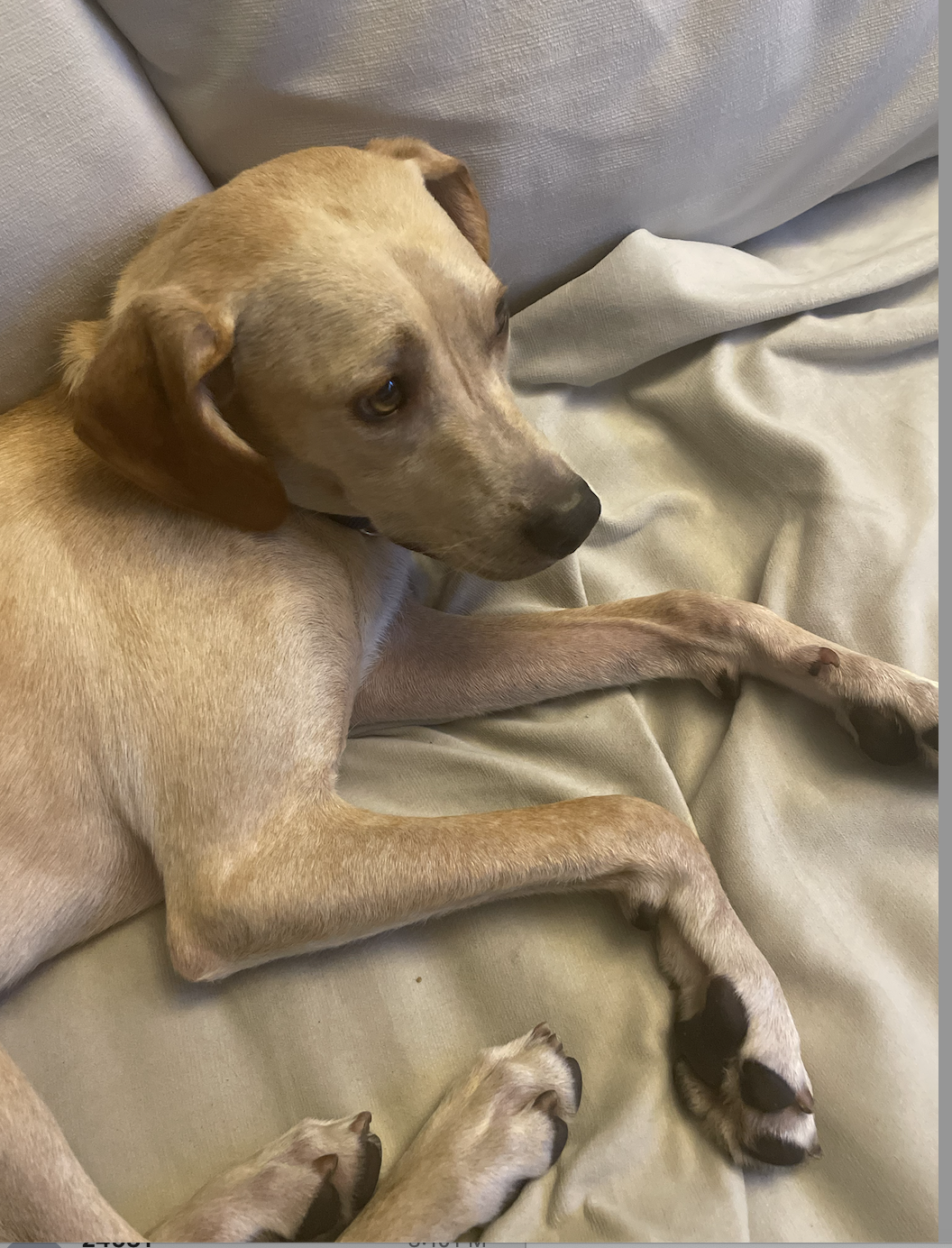 Screenshot 2025-07-21 at 6.08.21 PM.png