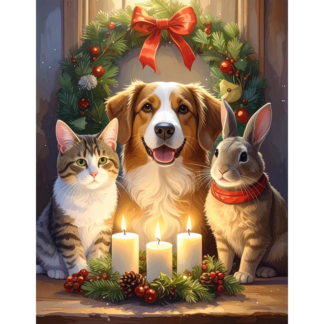 Habt einen gem&uuml;tlichen 3. Advent!
#happydogs #happycat