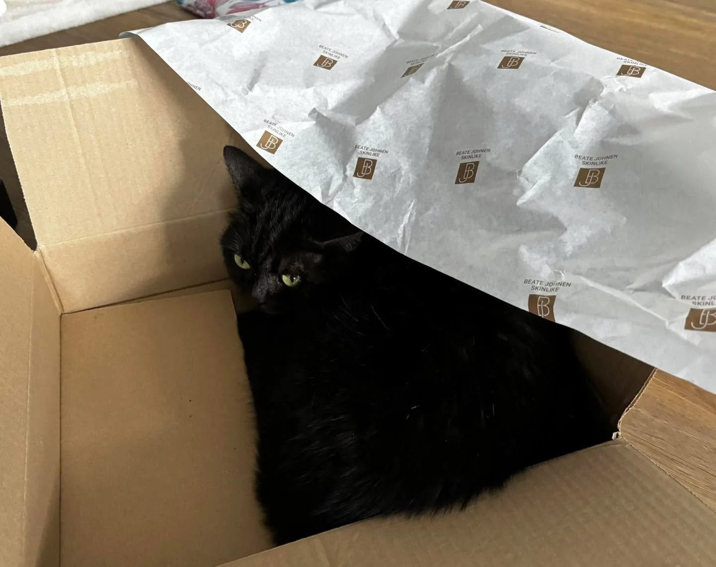 Wer lieber Geld💶💰💶 spenden m&ouml;chte (steuerlich absetzbar)! 
Unsere Kontonummer lautet:
Pro Tiere e. V.
DE63 3705 0299 0370 5729 38
Kreissparkasse K&ouml;ln