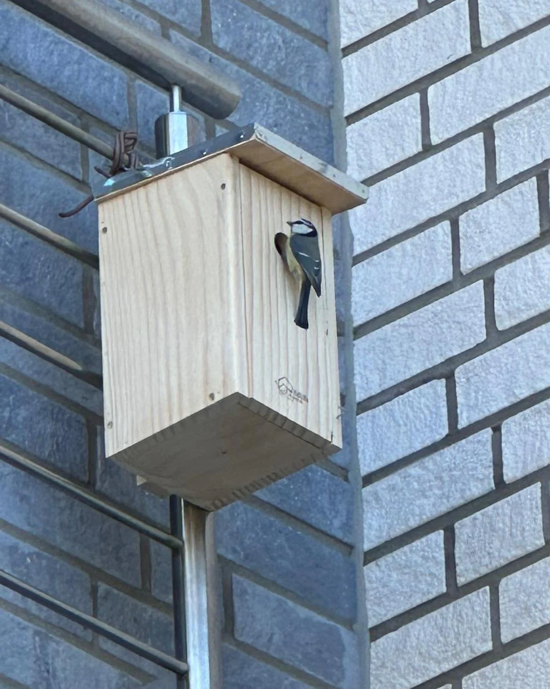 Sind Eure Nistk&auml;sten startklar f&uuml;r die Saison?
Kommentiert gerne mit Foto 🐣