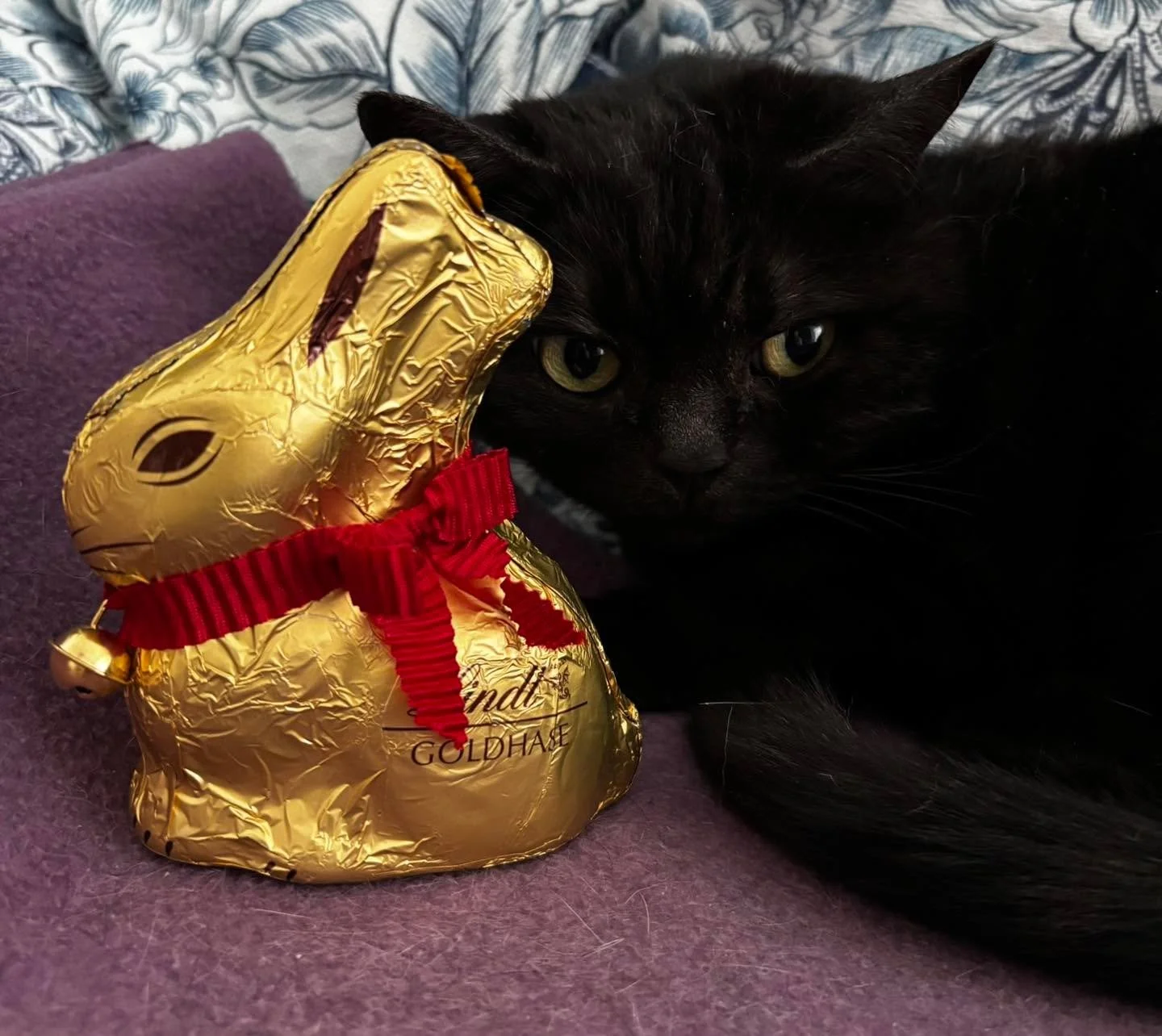 Wir w&uuml;nschen euch ein sch&ouml;nes Osterfest 🐰 #osterfest #protiere