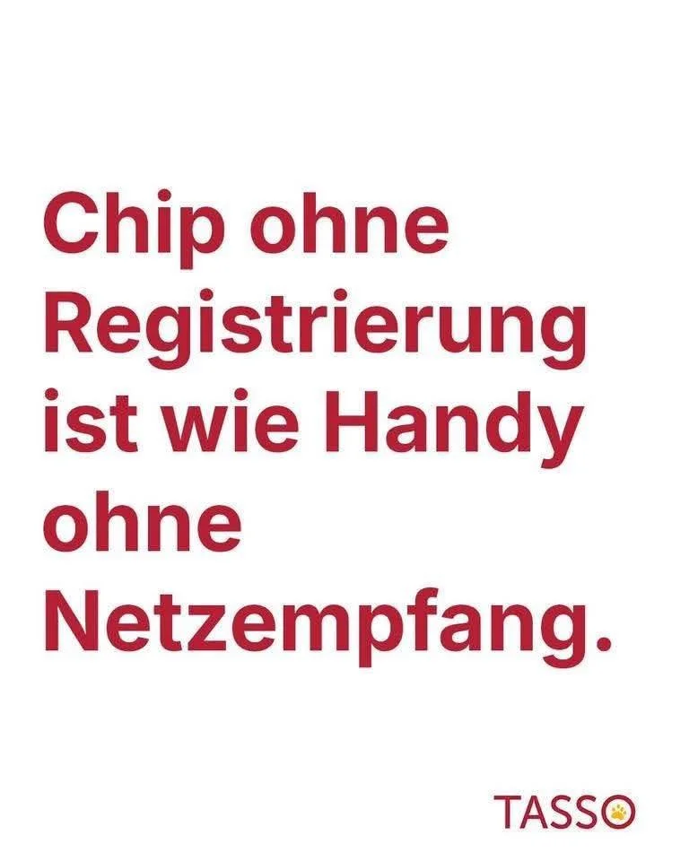 🐈🐕&zwj;🦺
Den Chip setzt der Tierarzt f&uuml;r die Registrierung ist der TierhalterIn verantwortlich! 
#tierschutz