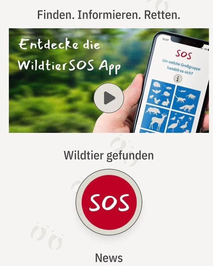 Wildtier in Not?! 
Mit dieser App findet Ihr schnell die richtigen Anlaufstellen🍀🦔🦅🦆🐓
#wildtierhilfe