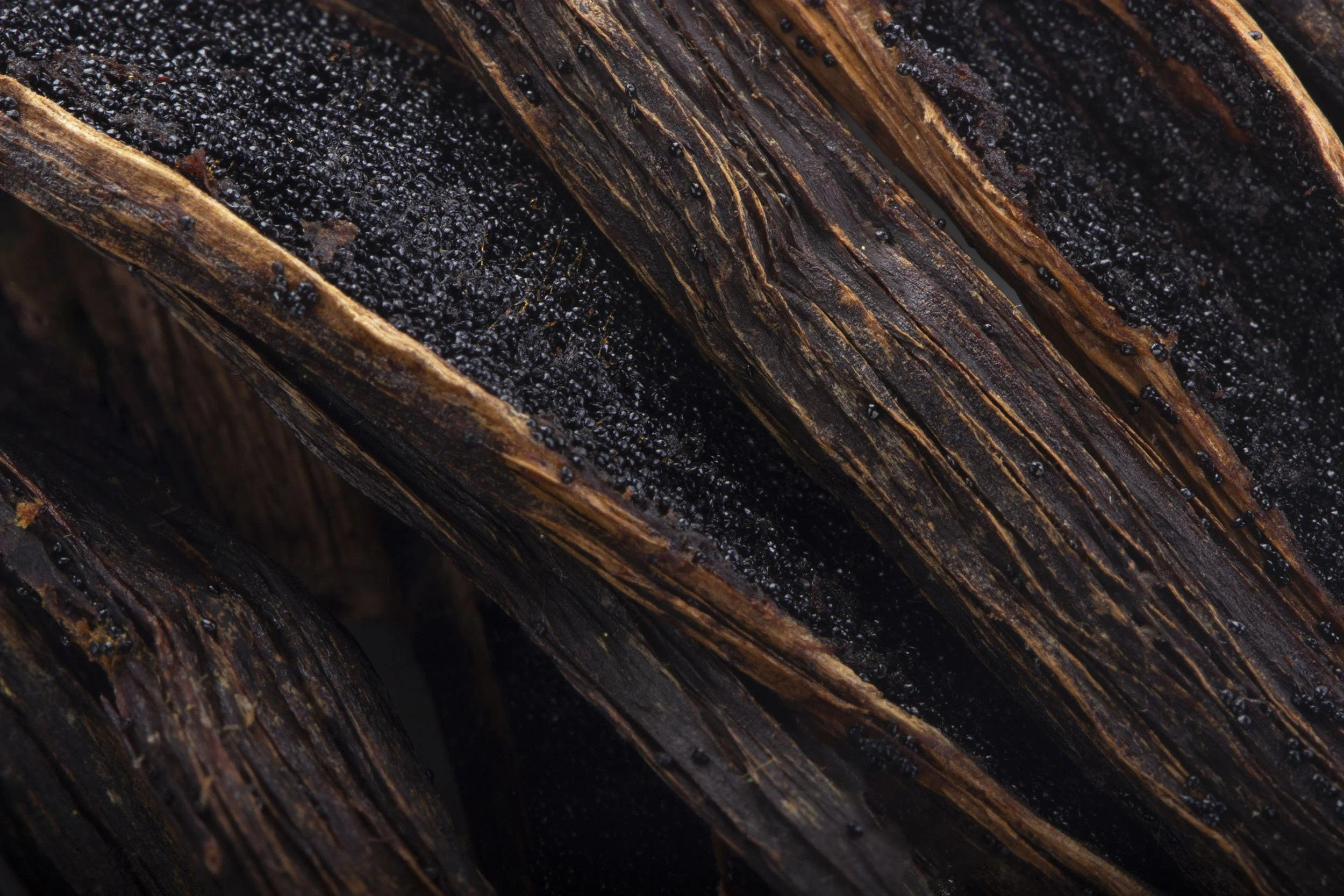 Image of Vanilla Pods