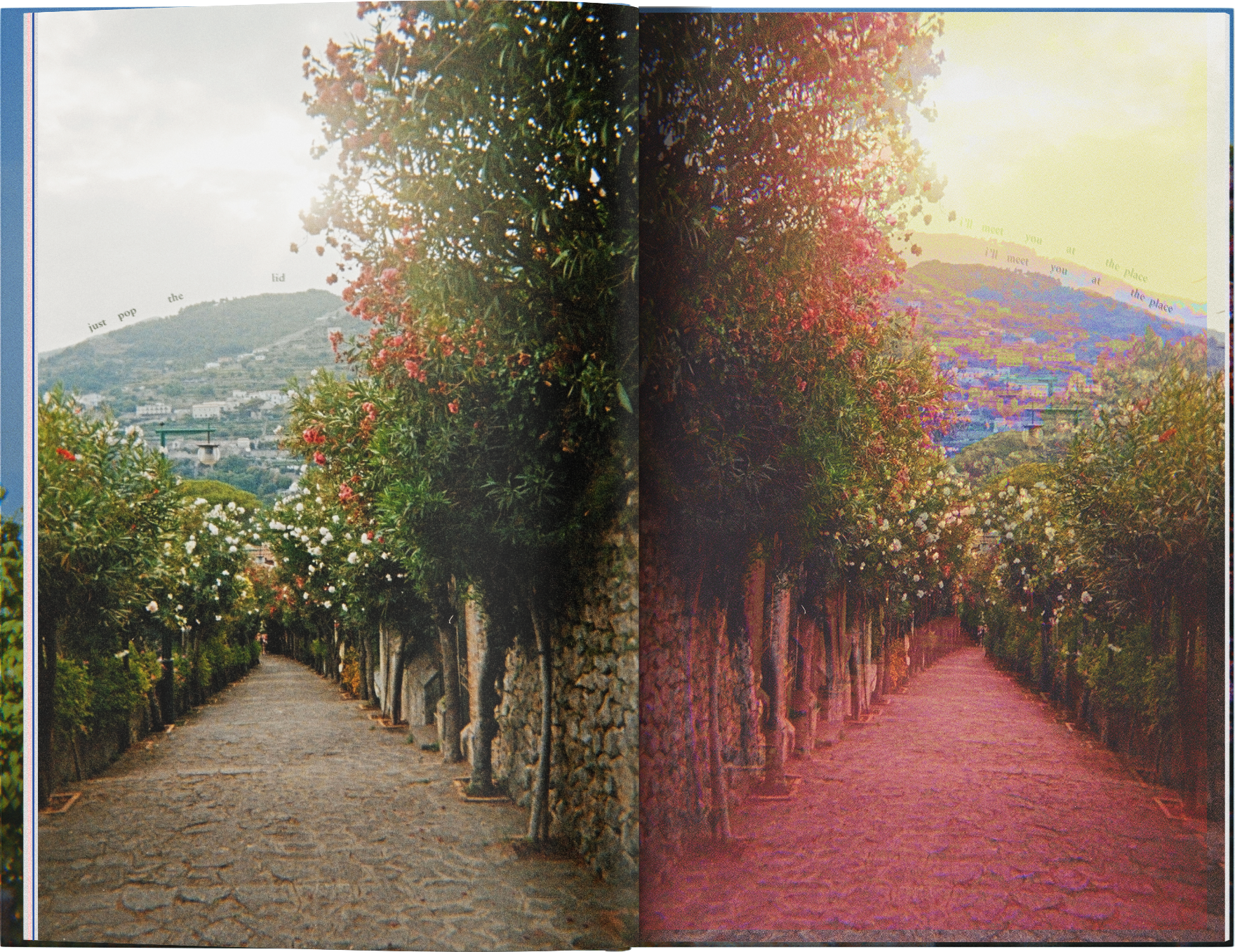 inside page of Bite Deep by Camille Len Poetry Photography book