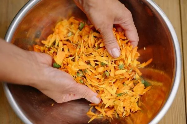 Hands mixing shredded carrots and chopped green onions in a stainless steel bowl.