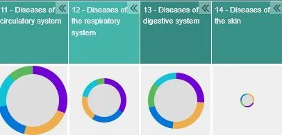 Four pie charts labeled 11 to 14, representing diseases of the circulatory, respiratory, digestive, and skin systems, with segments in various colors.