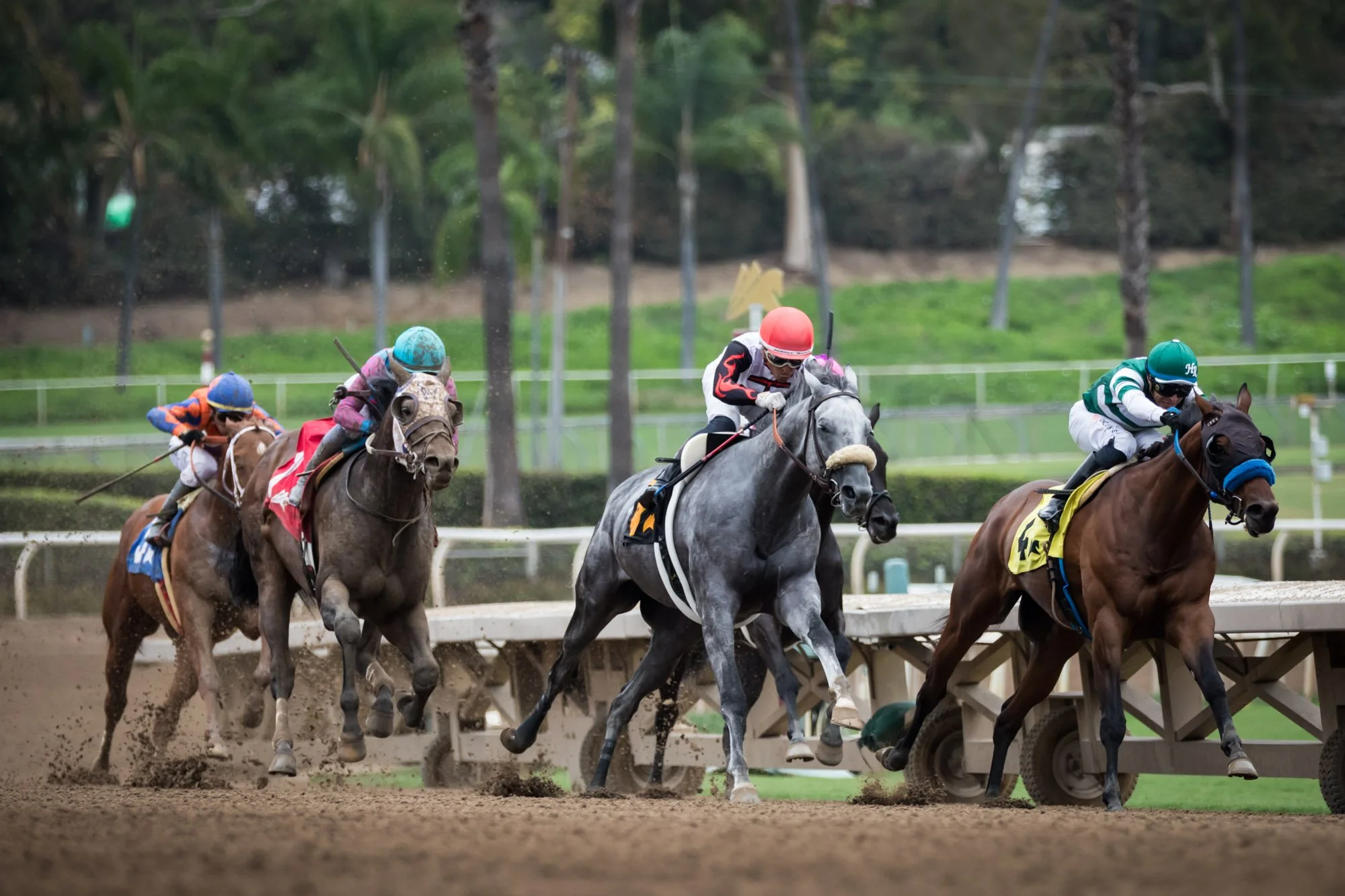 los-angeles-travel-photographer-santa-anita-race-park-14-7927.jpg