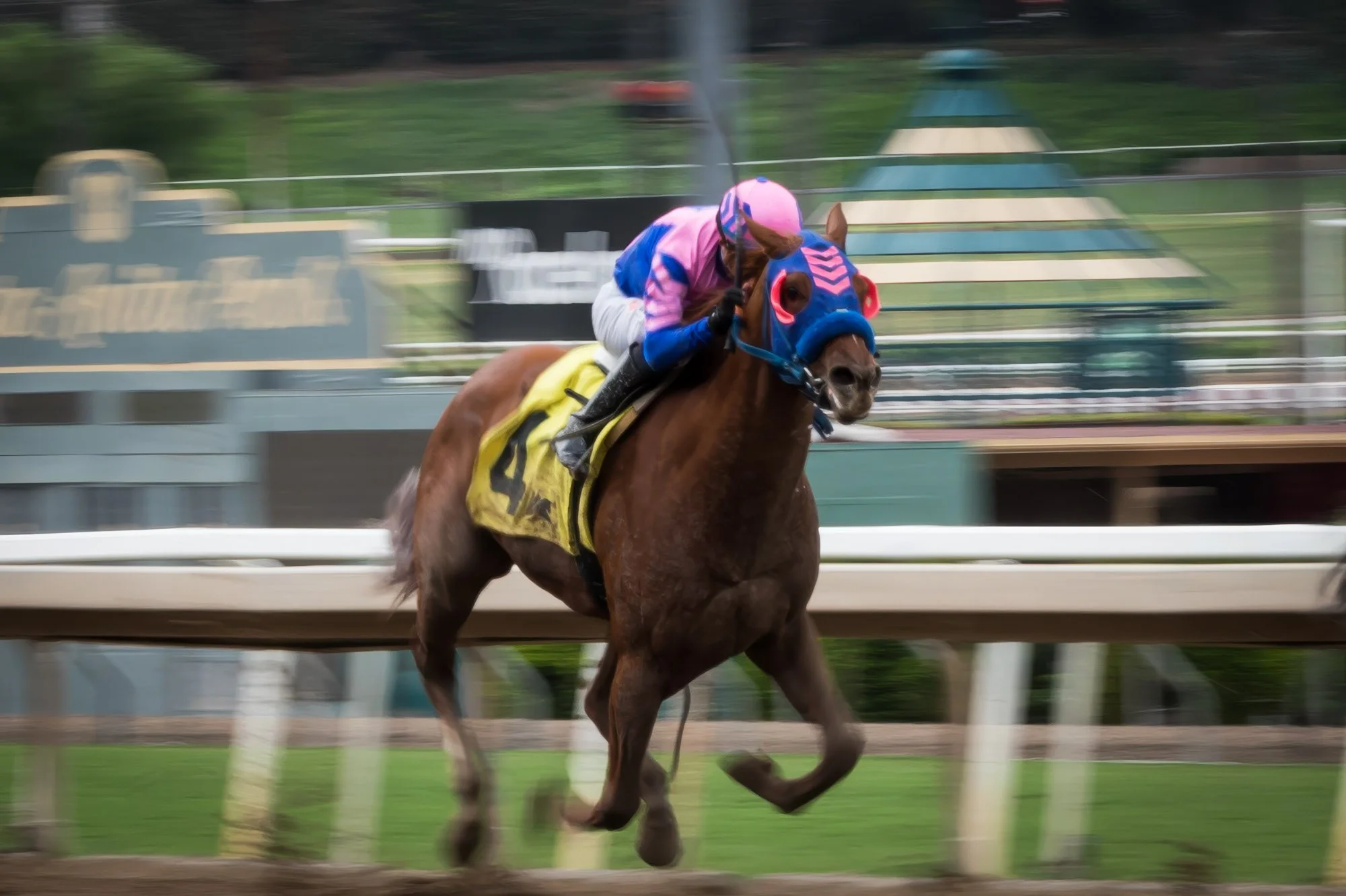 los-angeles-travel-photographer-santa-anita-race-park-18-8083.jpg
