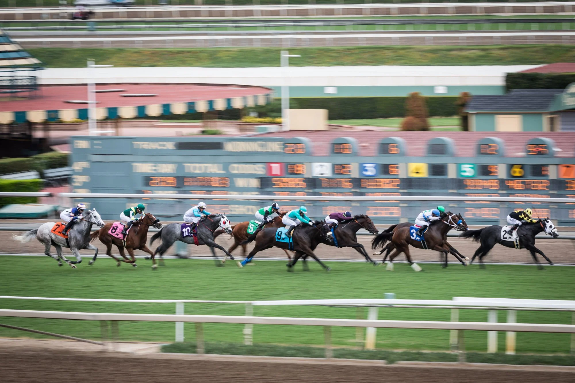 los-angeles-travel-photographer-santa-anita-race-park-11-7878.jpg