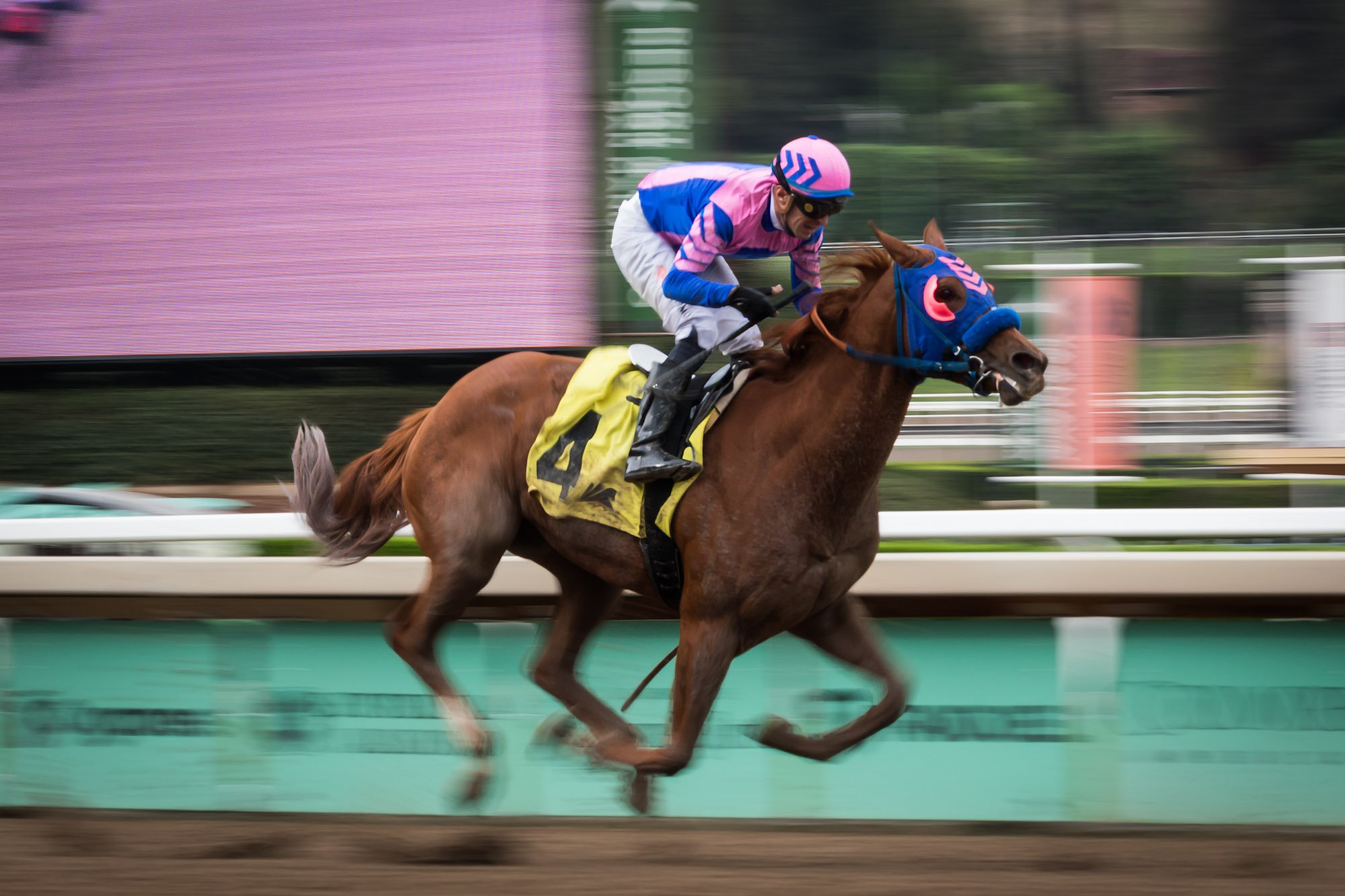 los-angeles-travel-photographer-santa-anita-race-park-1-2.jpg