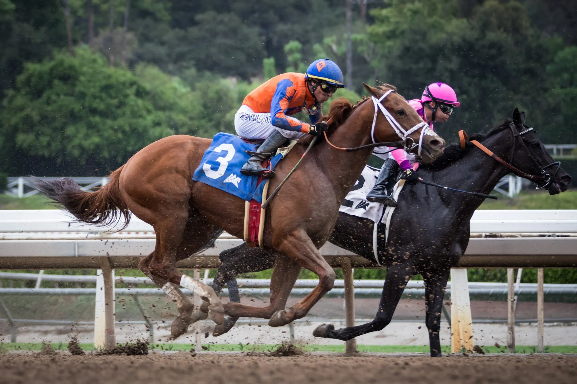 los-angeles-travel-photographer-santa-anita-race-park-17-7932.jpg