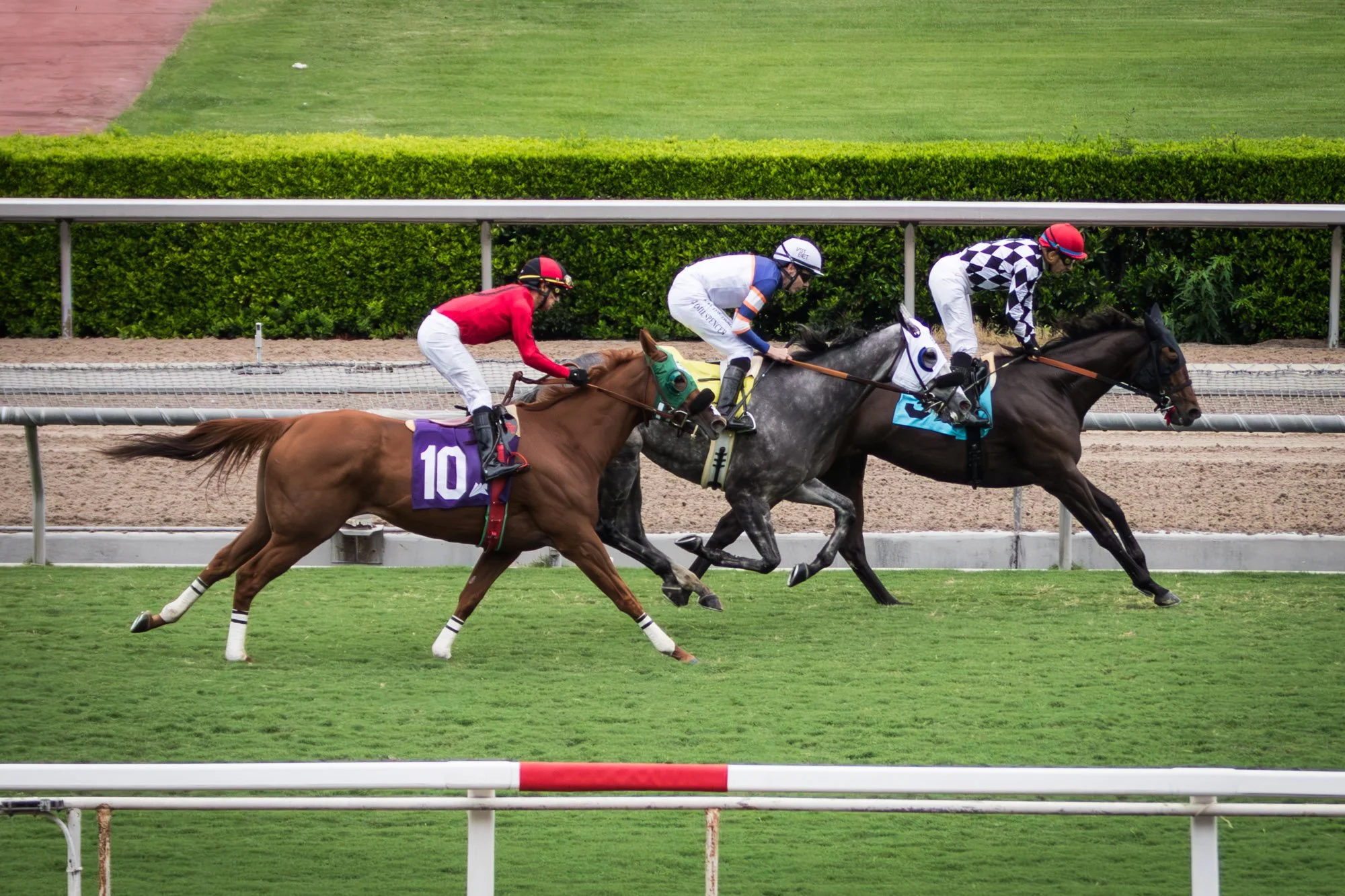 los-angeles-travel-photographer-santa-anita-race-park-13-7992.jpg