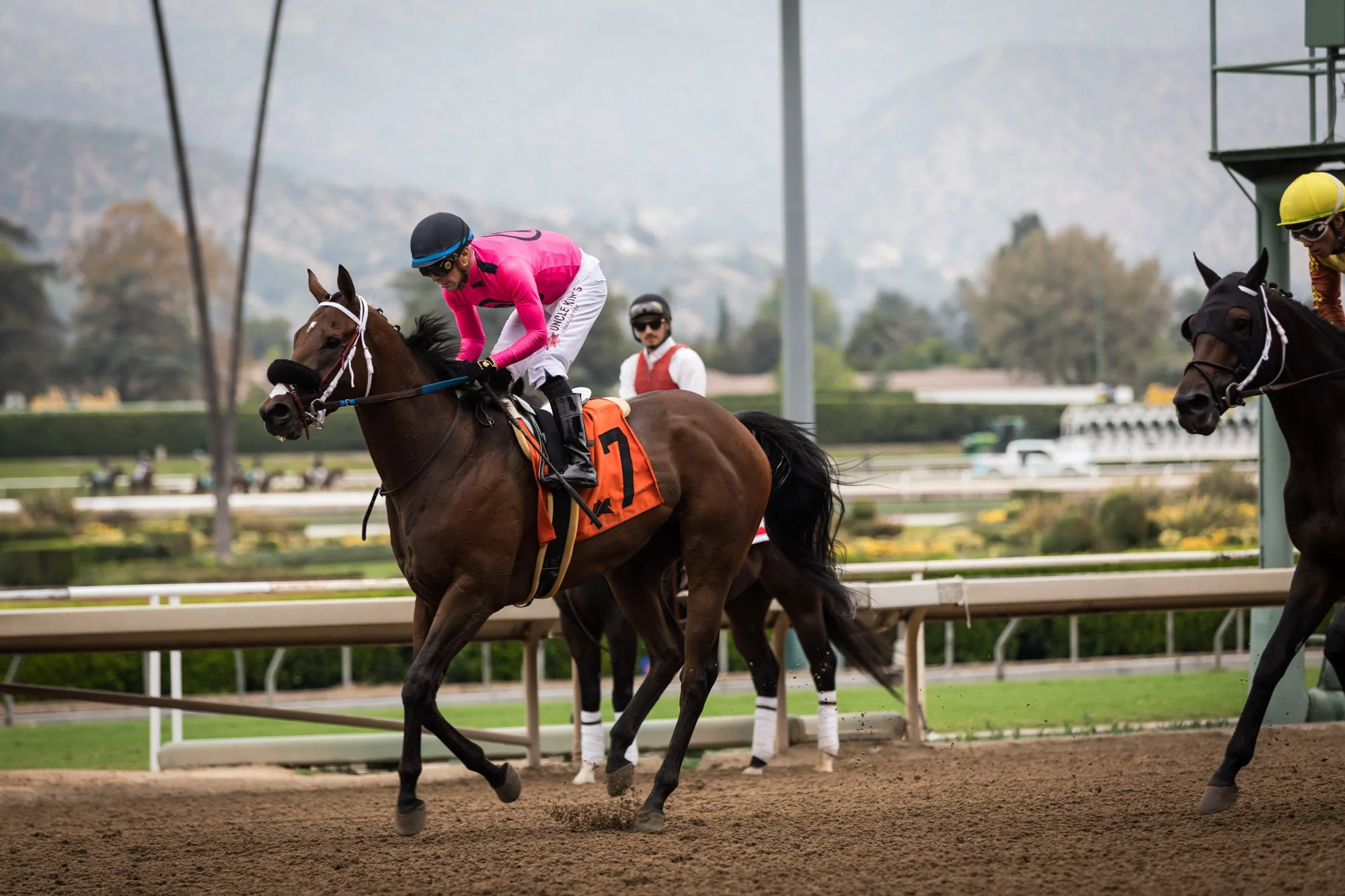 los-angeles-travel-photographer-santa-anita-race-park-4-7589.jpg
