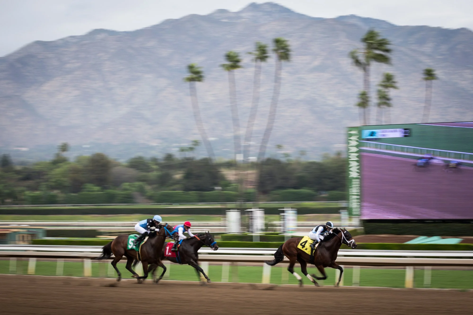 los-angeles-travel-photographer-santa-anita-race-park-2-7722.jpg