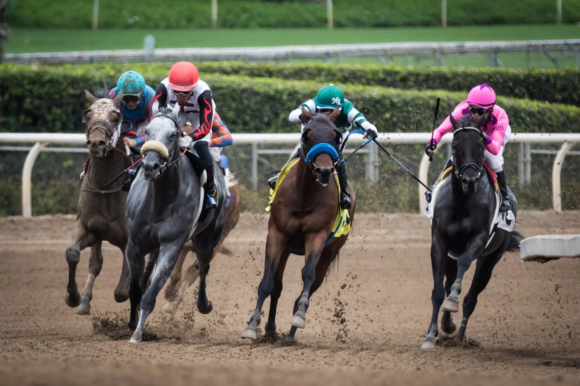 los-angeles-travel-photographer-santa-anita-race-park-12-7919.jpg