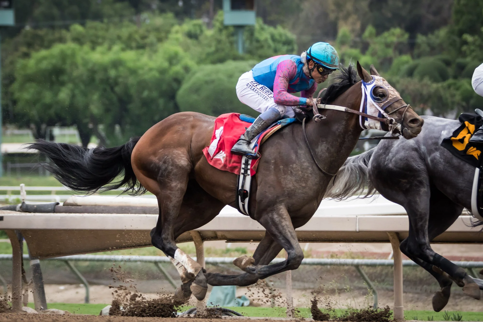 los-angeles-travel-photographer-santa-anita-race-park-15-7931.jpg