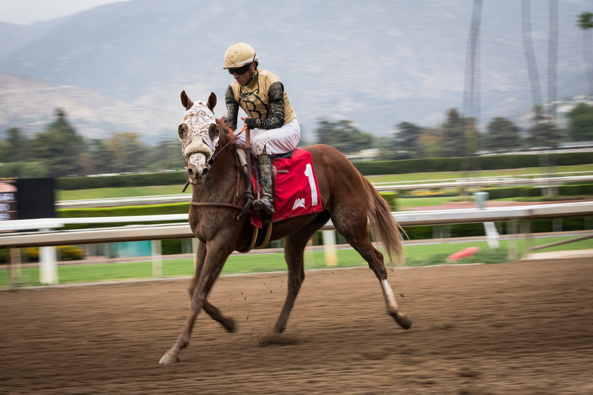 los-angeles-travel-photographer-santa-anita-race-park-19-8159.jpg