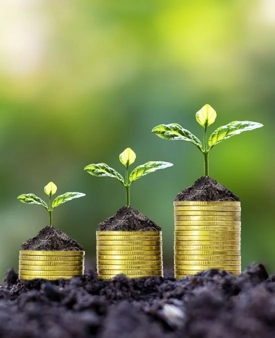 Smart Investments: How To Make Your Money Work for You