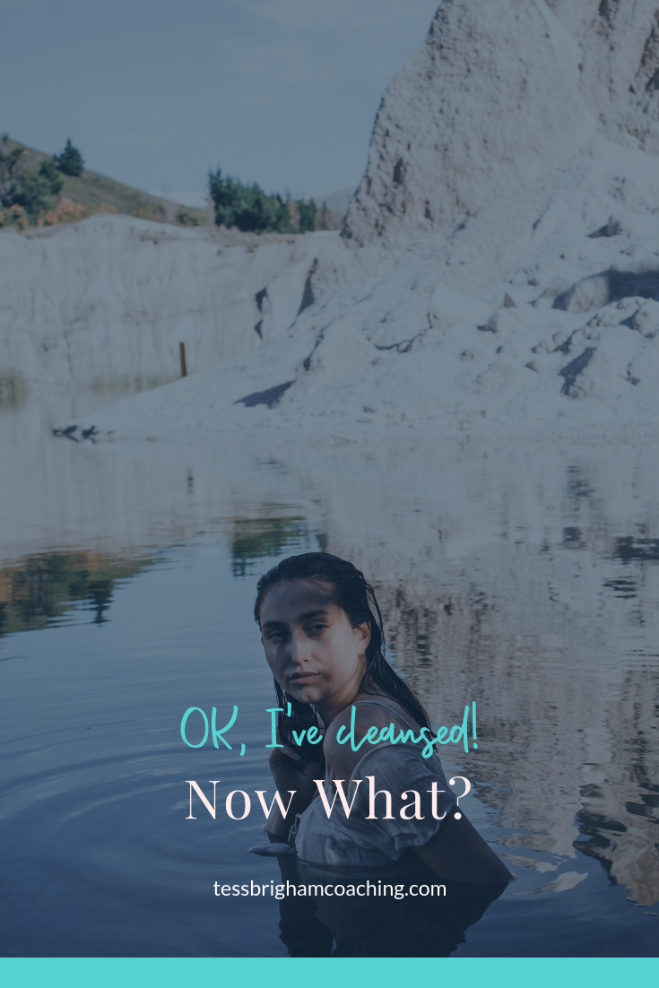 OK…I’ve cleansed! Now What?