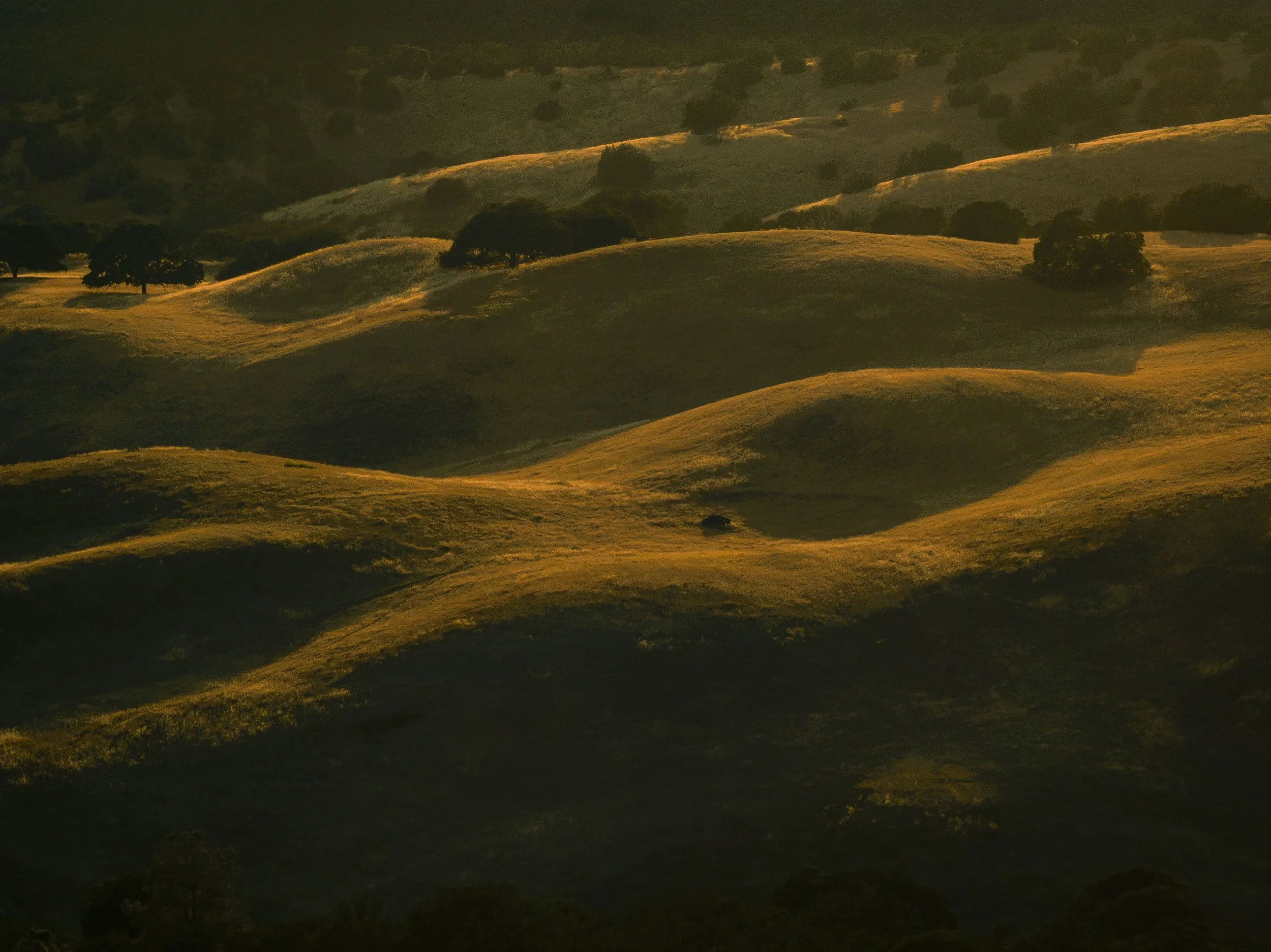 SRR Program July 2023-153.jpg