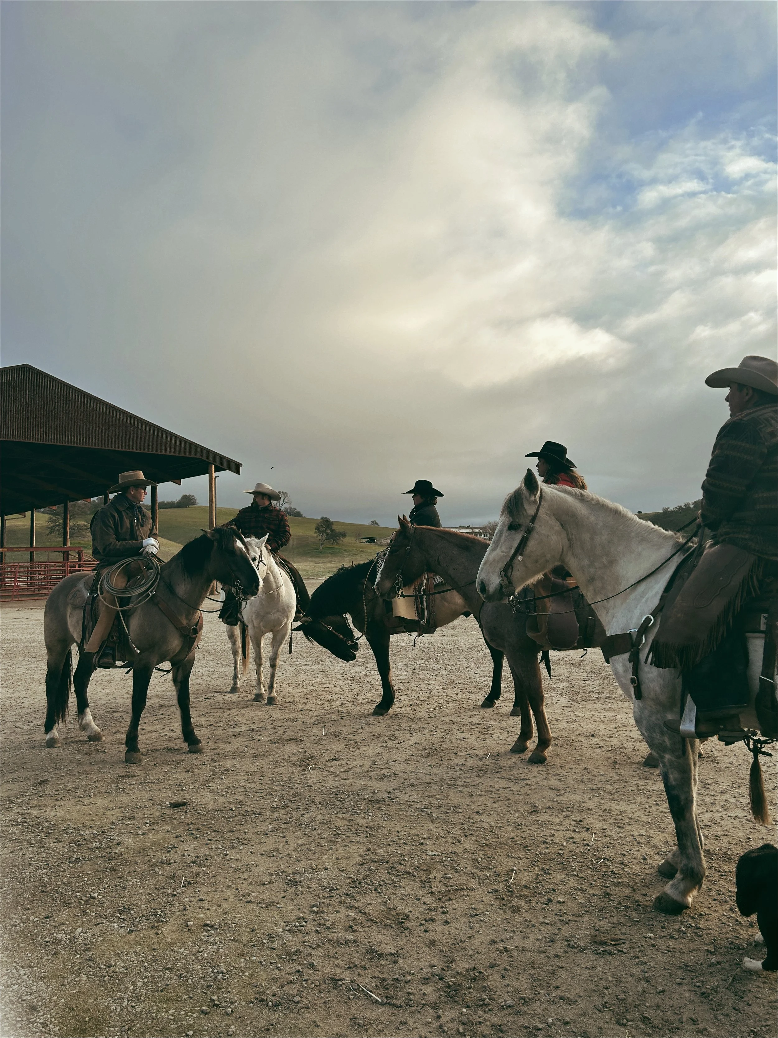 Copy of SR_February-8524.JPG