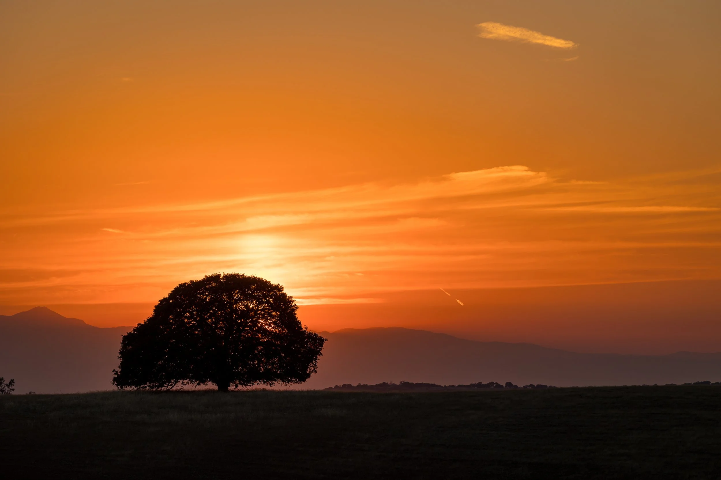 SRR Program July 2023-162.jpg