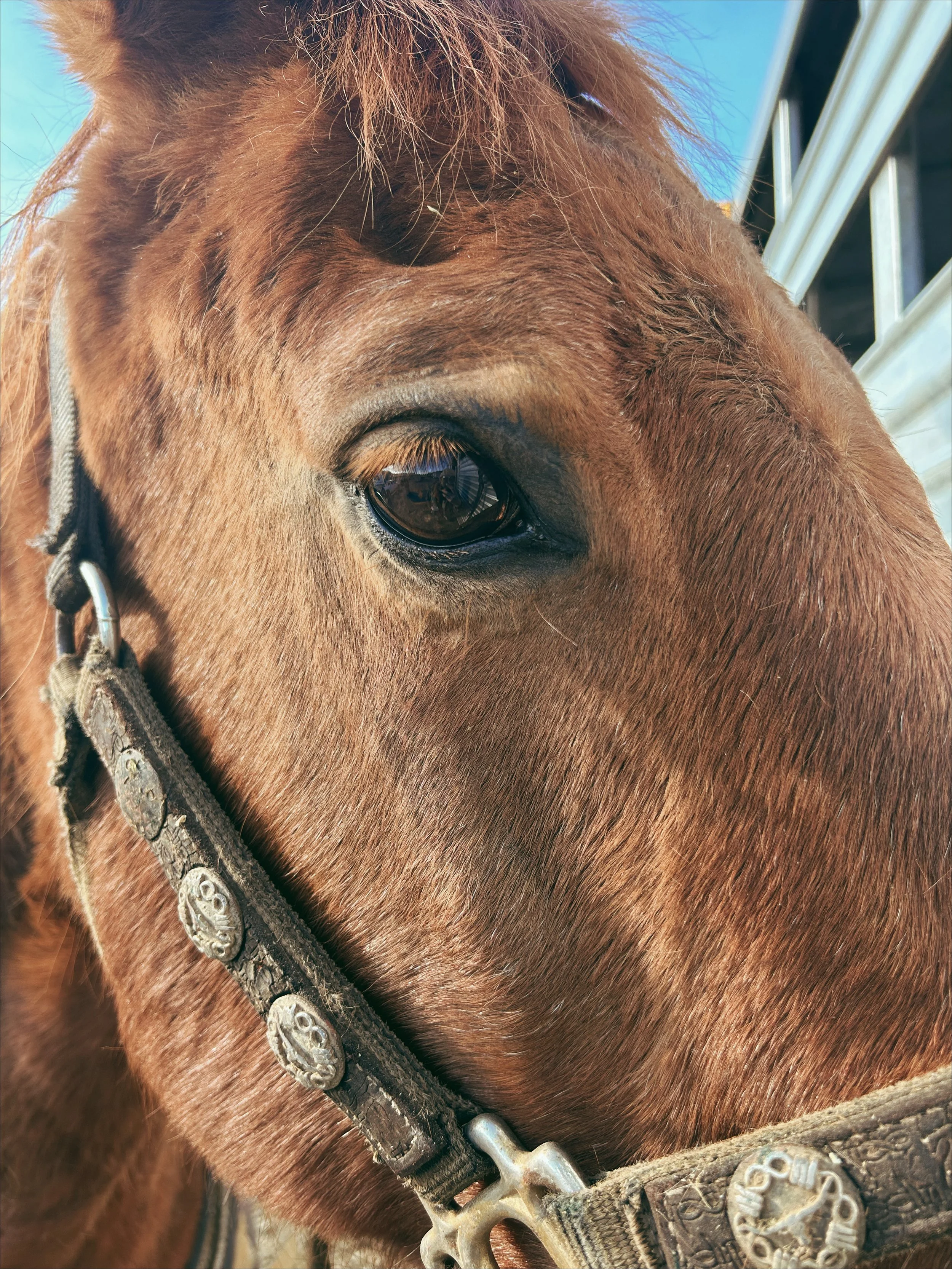 Copy of SR_February-2390.JPG