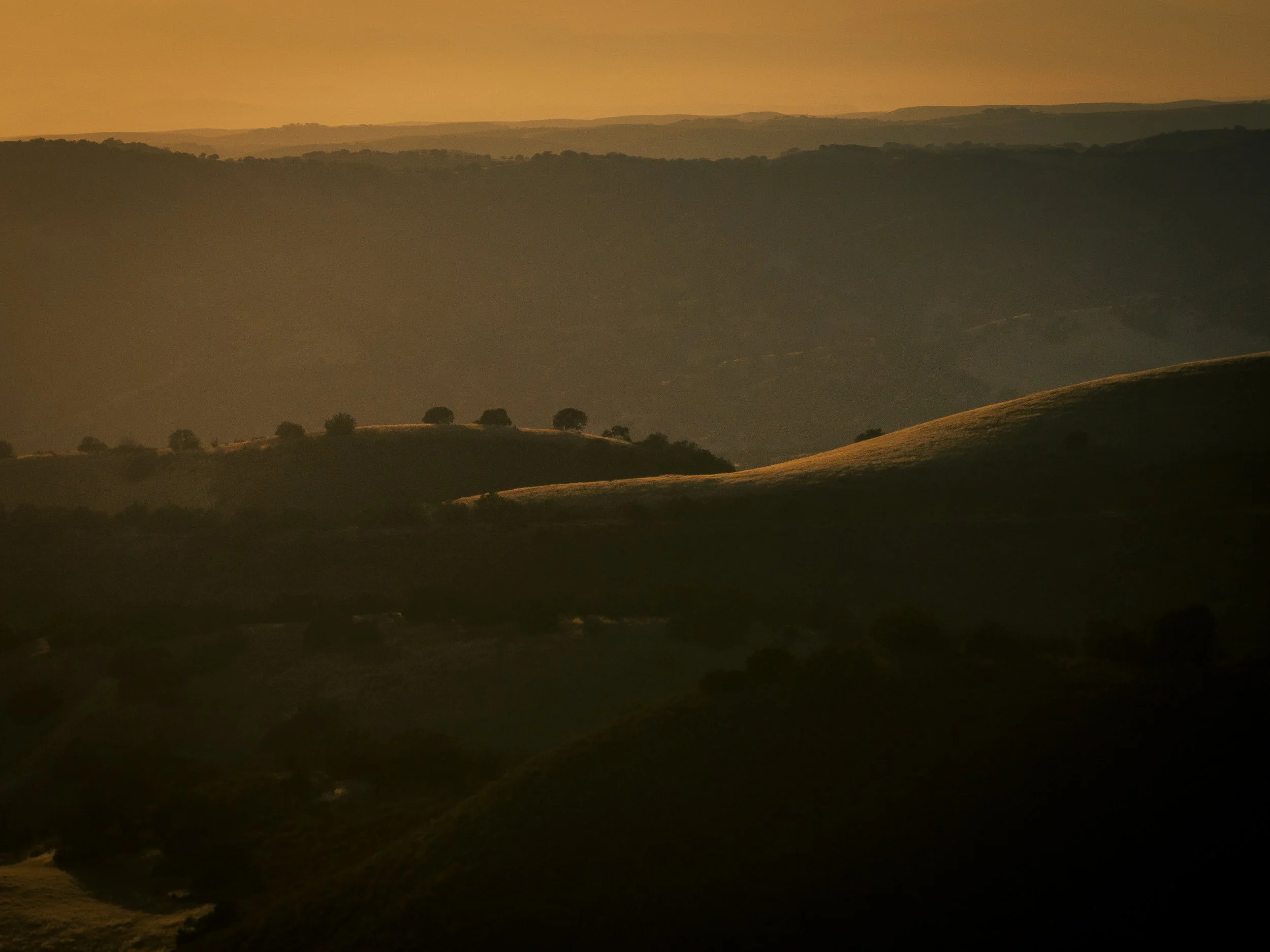 SRR Program July 2023-152.jpg