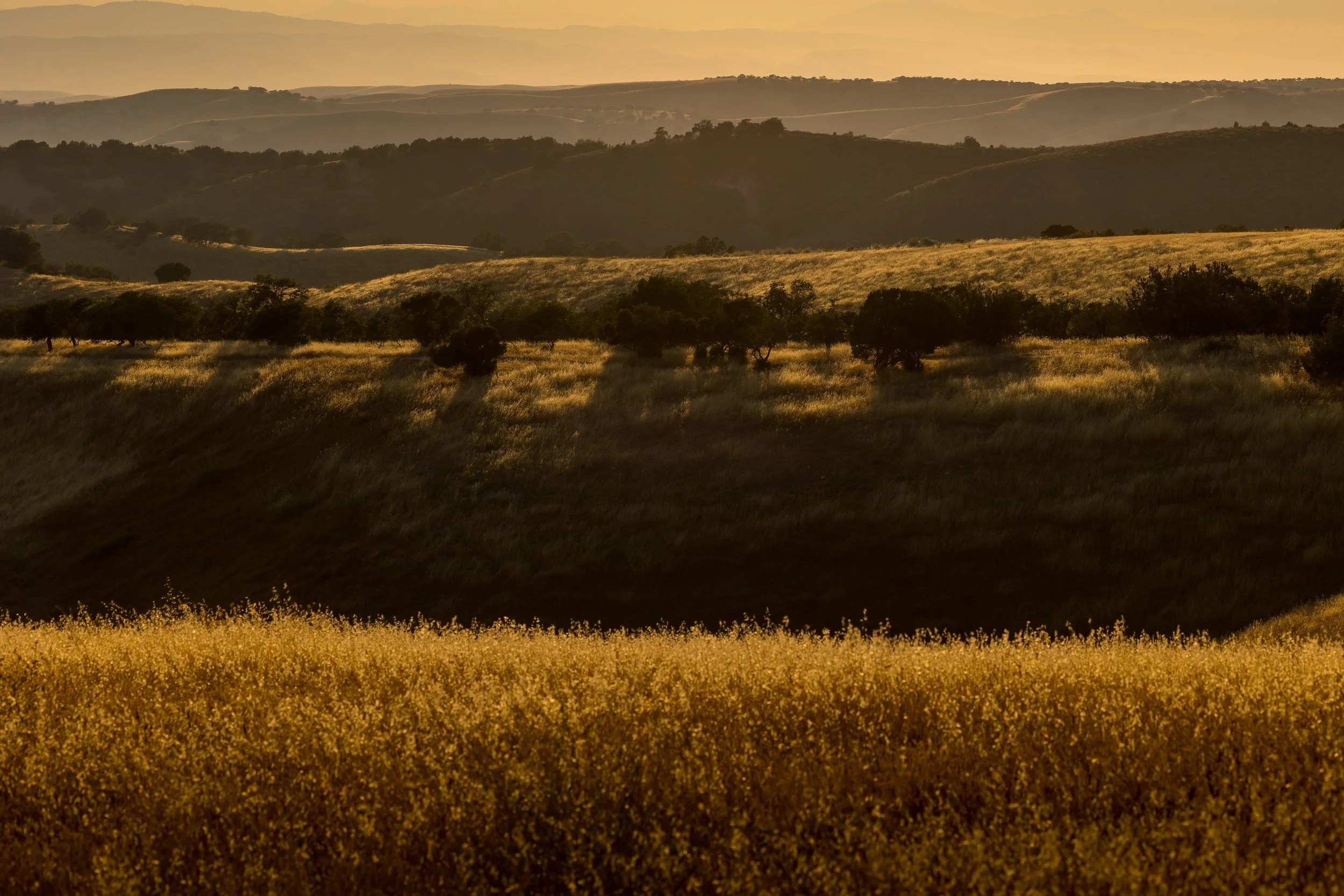 SRR Program July 2023-157.jpg