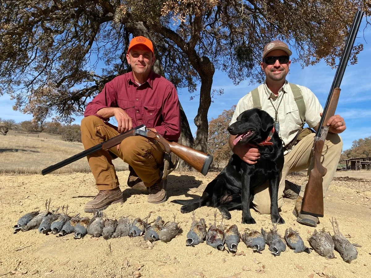 Quail hunt.jpg