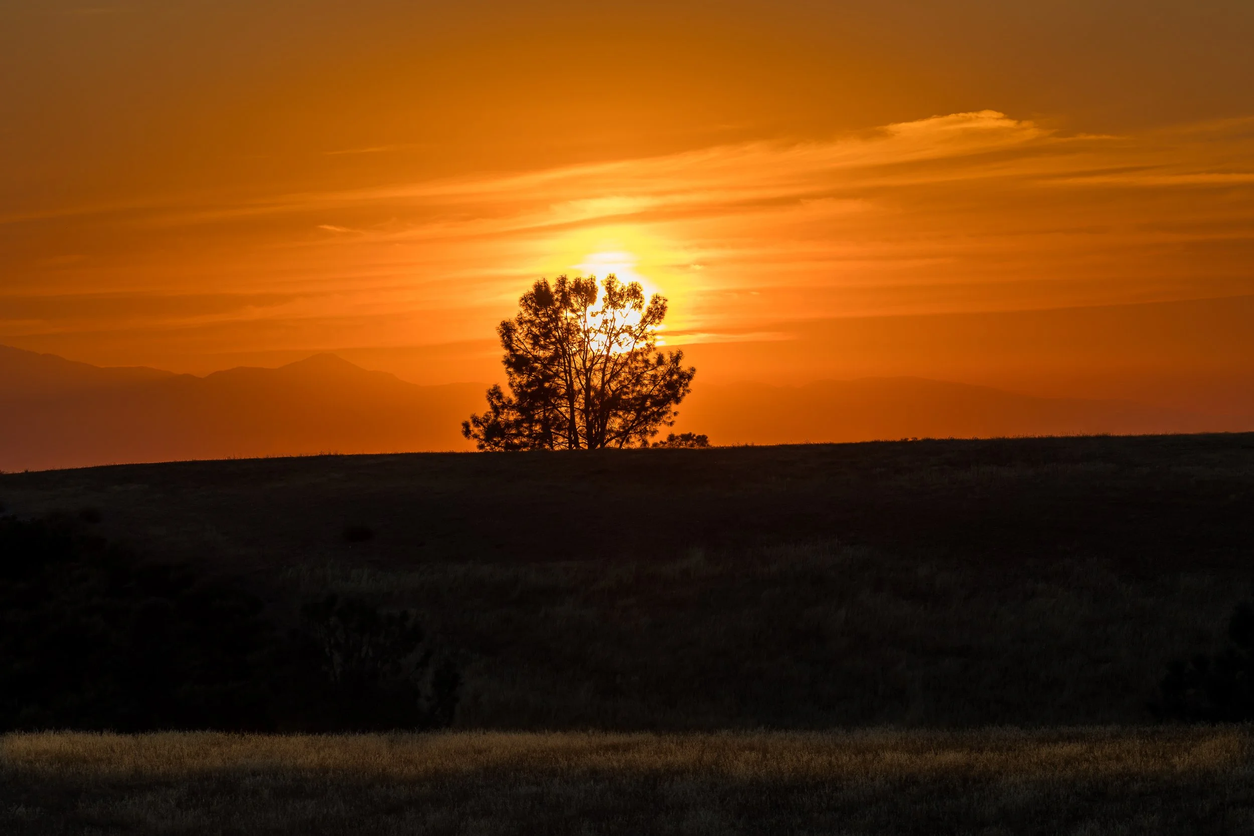 SRR Program July 2023-158.jpg