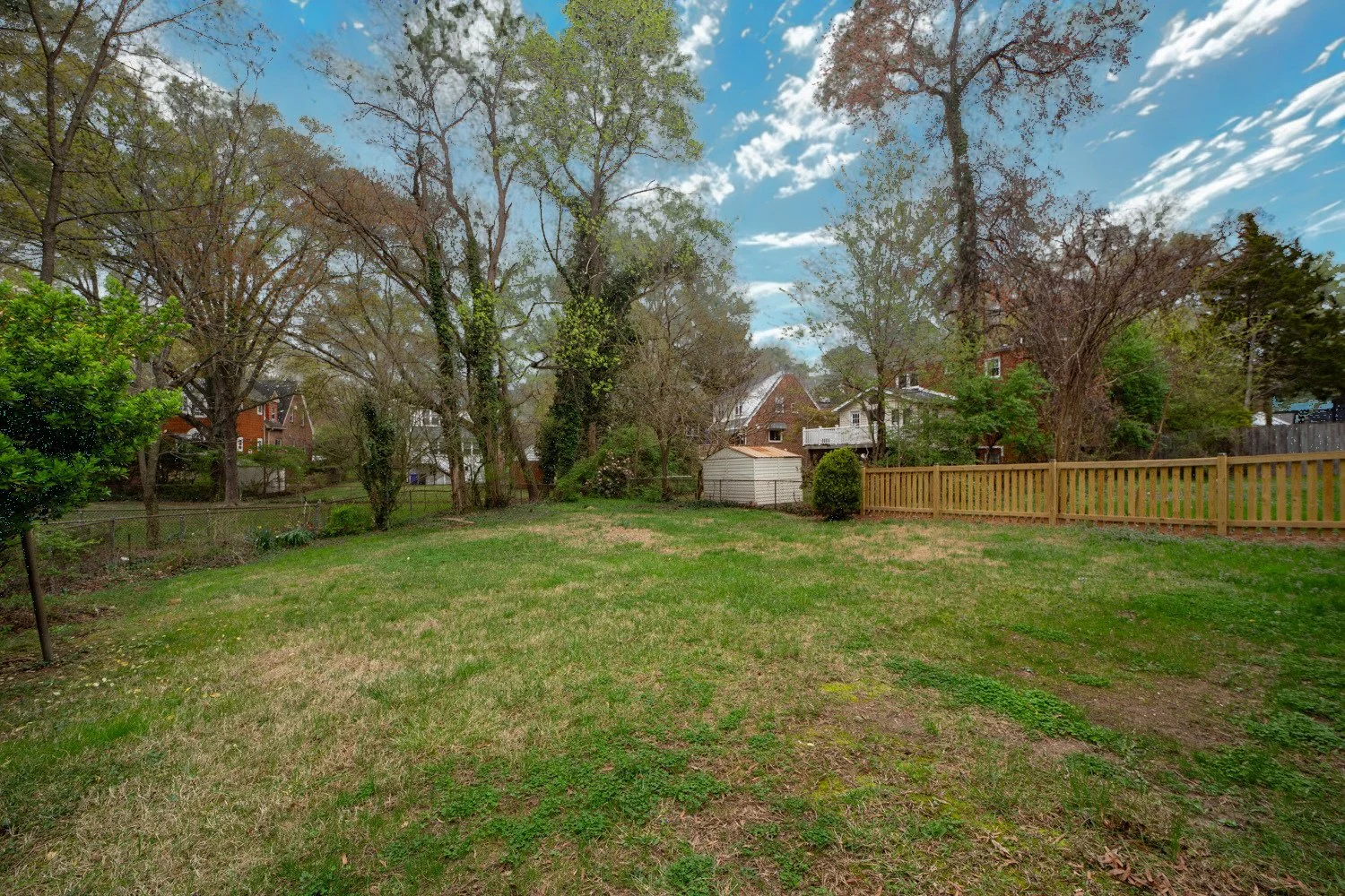 Back Yard.jpg