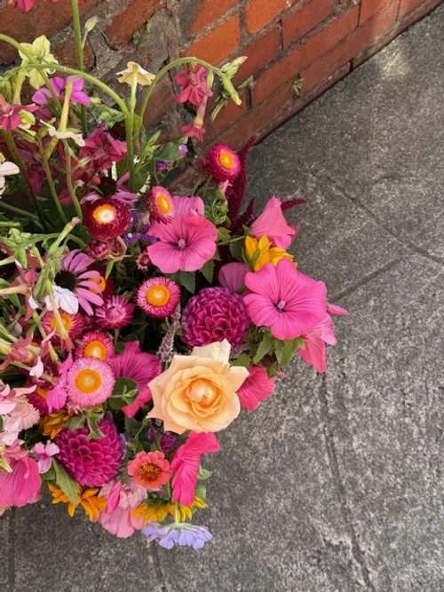 Colorful assortment of flowers including pink petunias, daisies, roses, dahlias, and other blossoms next to a red brick wall and gray sidewalk.
