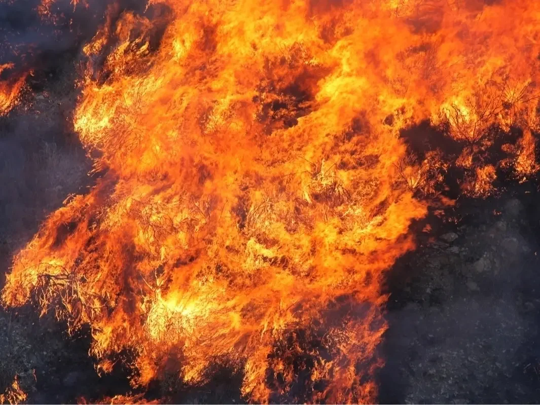 Wildfire Readiness Panel to Help Newport Beach Residents Prepare for Fire Season