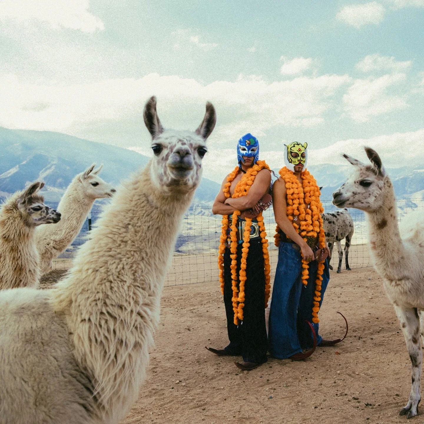 Xiuhtezcatl Martínez: raíces mexicanas, voz joven y futuro en construcción&nbsp;