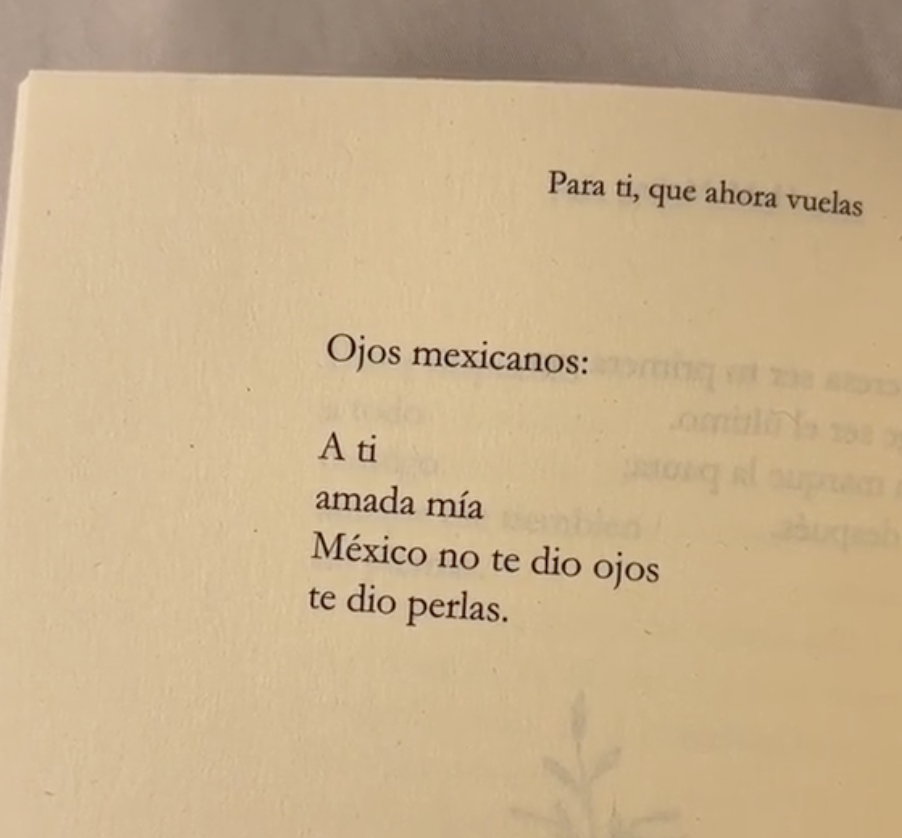 La IA no podría hacer poesía