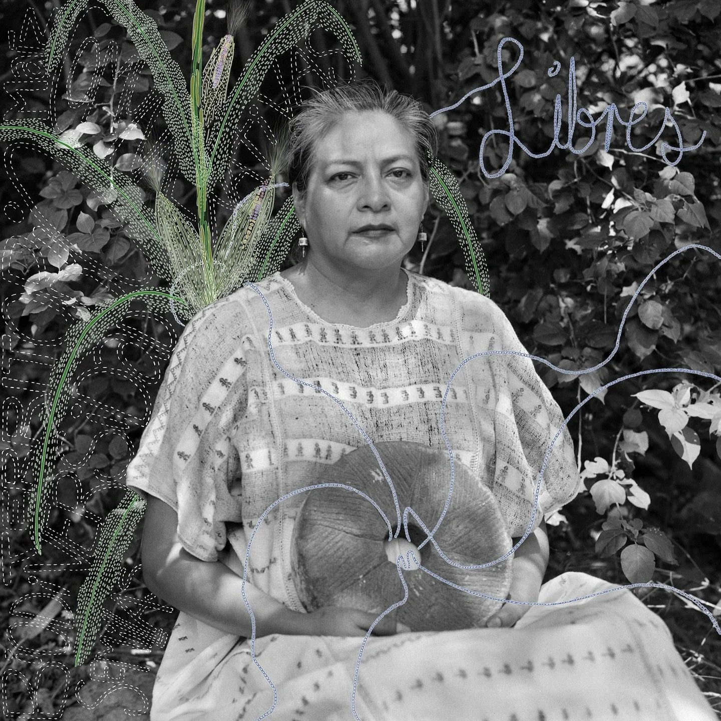 Citlali Fabián: Latin America Professional Awards 2026