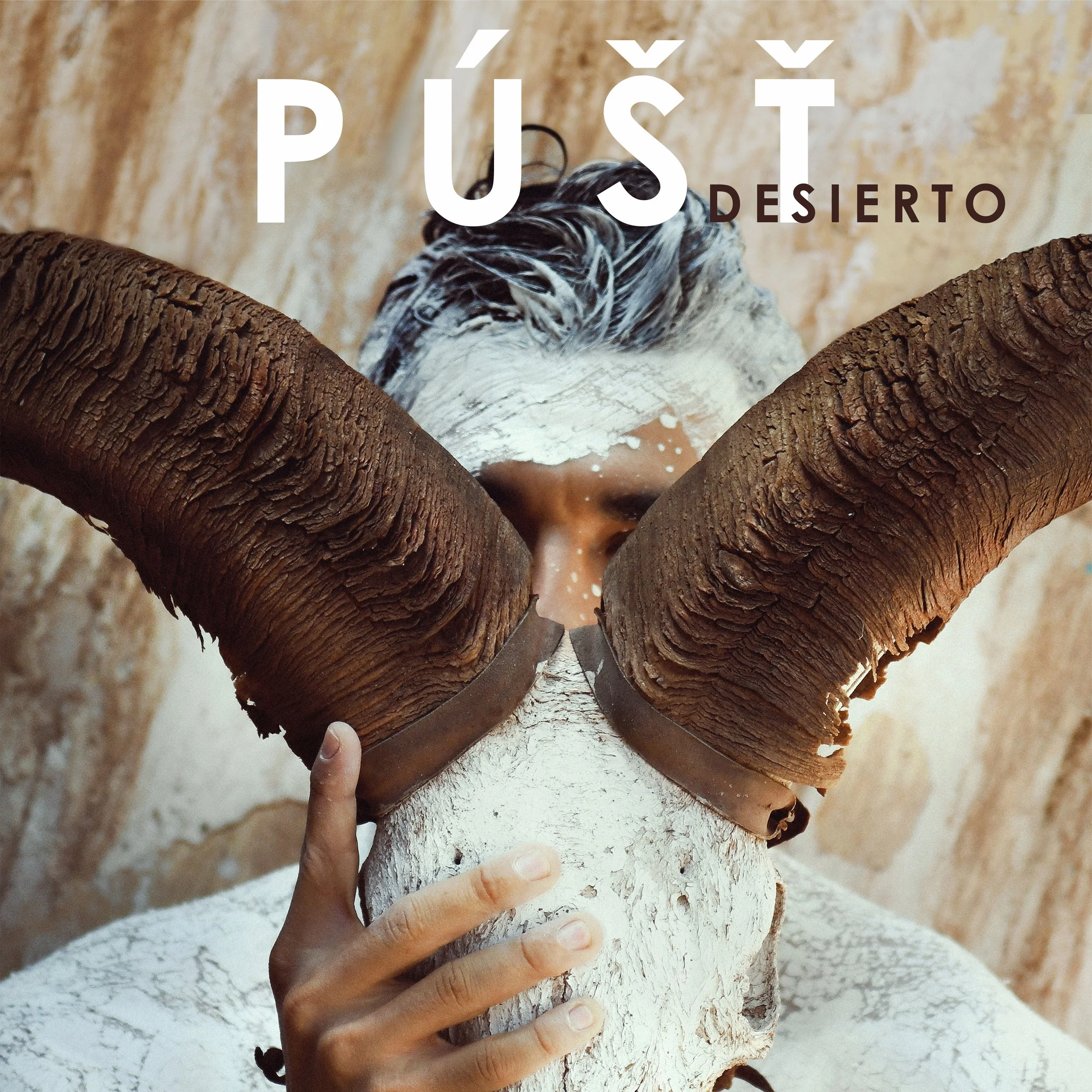 PUST: Desierto — cuando el territorio se convierte en lenguaje