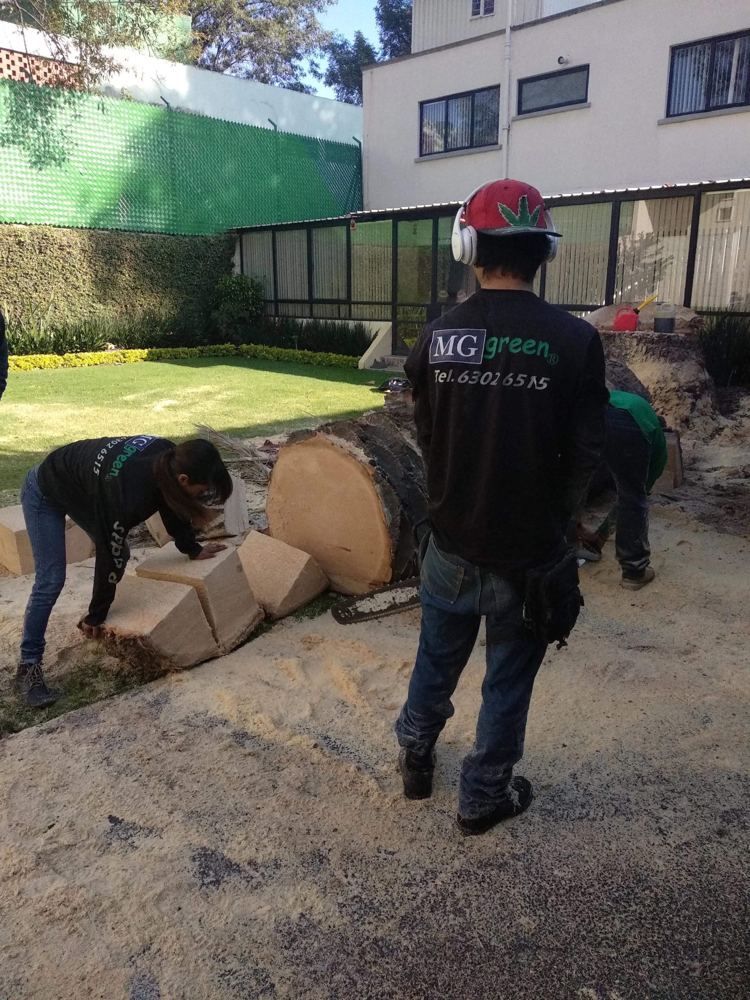 Trabajadores cortando un árbol con motosierra en un jardín. Persona con casco y otras manejando herramientas.