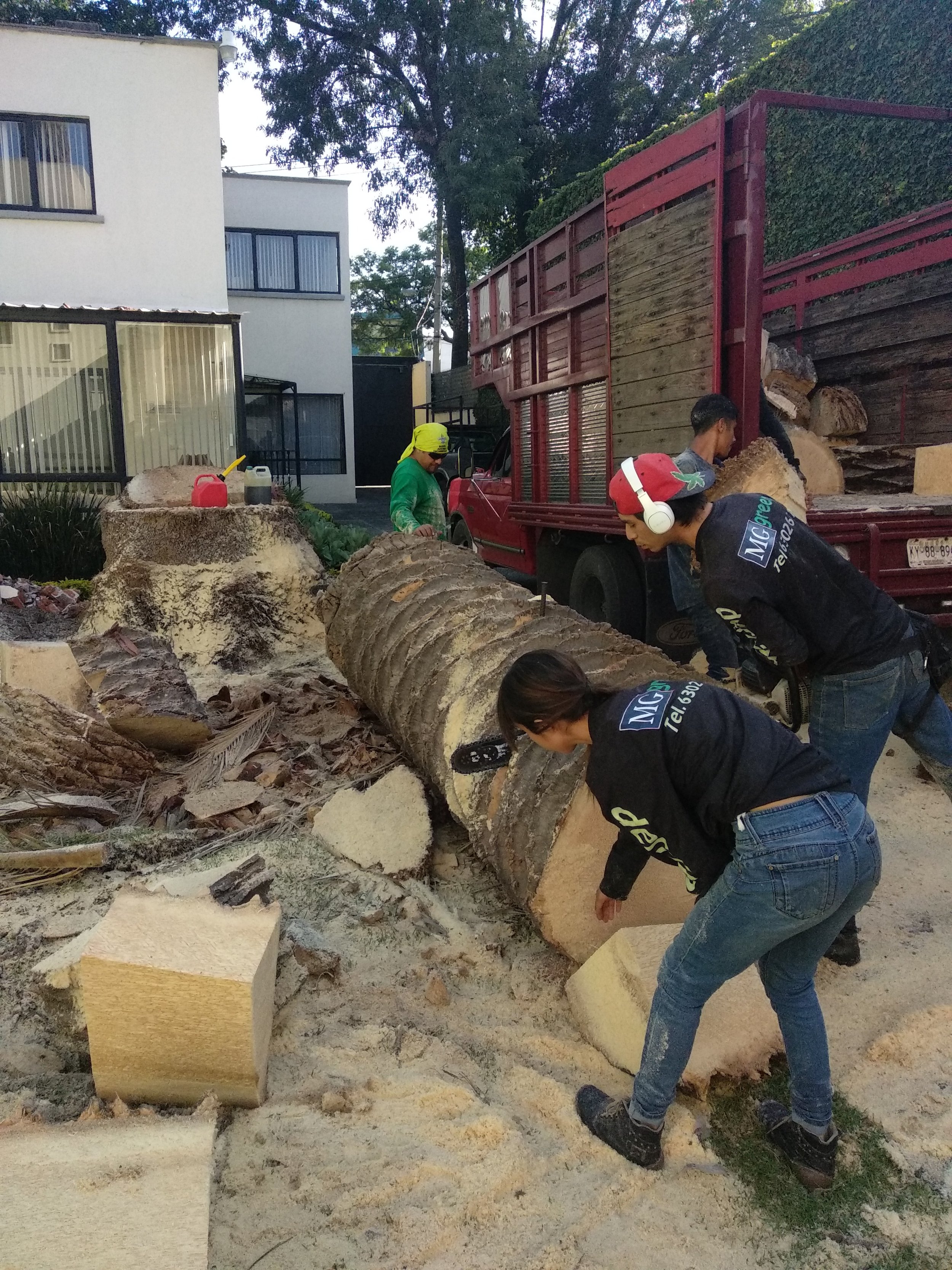 Personas cortando un árbol caído con una sierra eléctrica en una calle residencial.