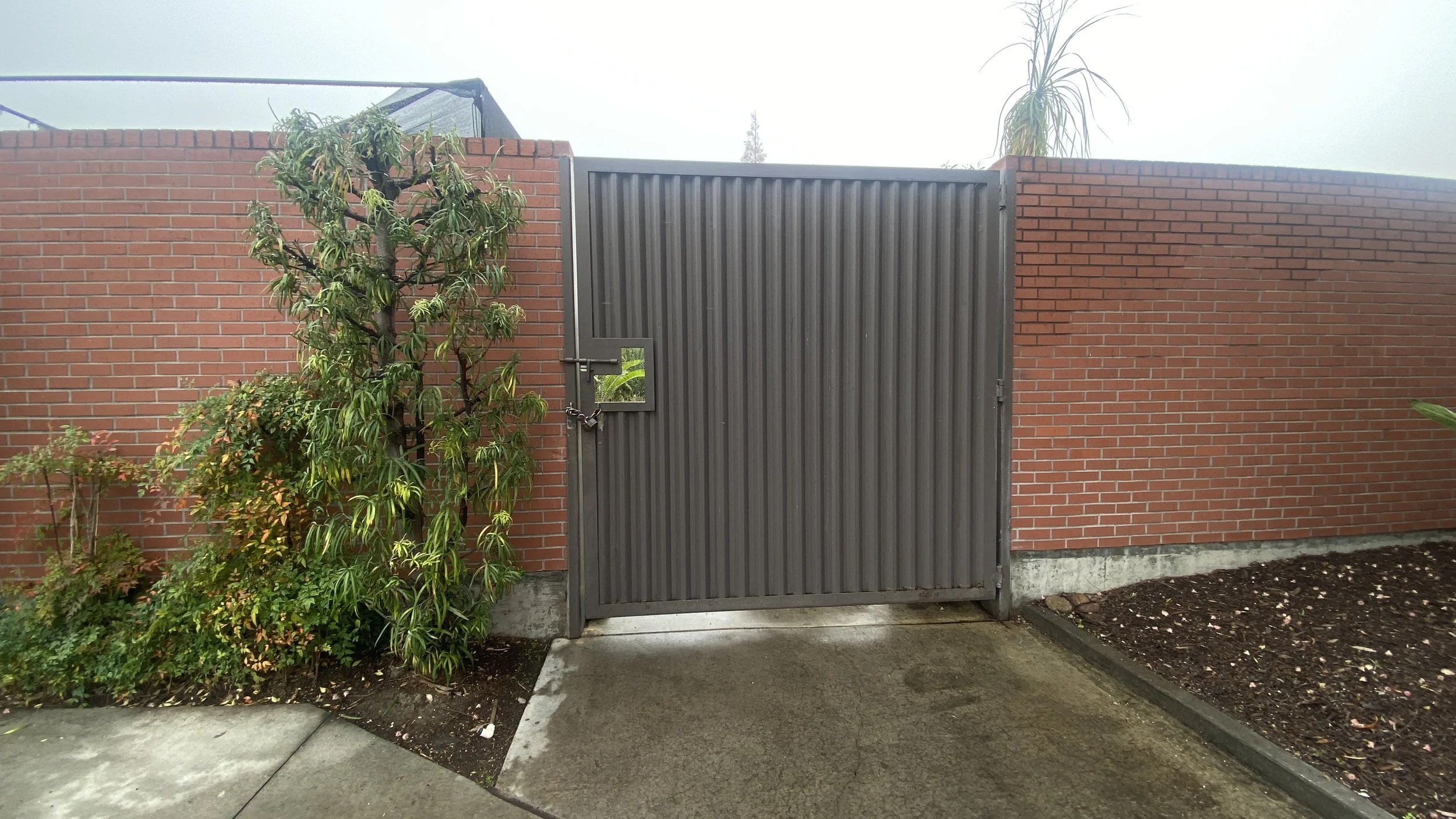 december 16 tiny little window was holding in gorgeous greenhouse