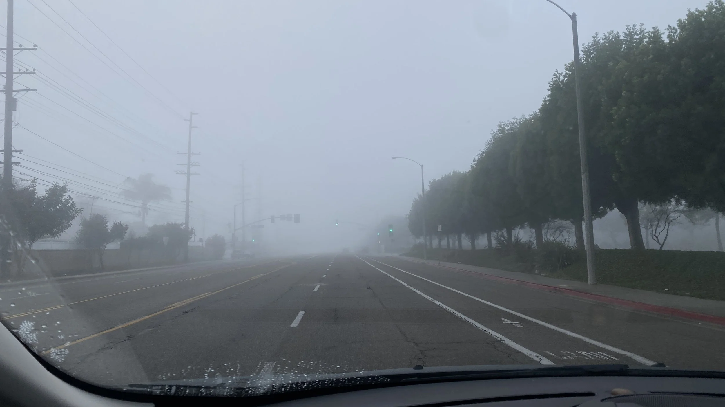 december 23 the fog on the way to work